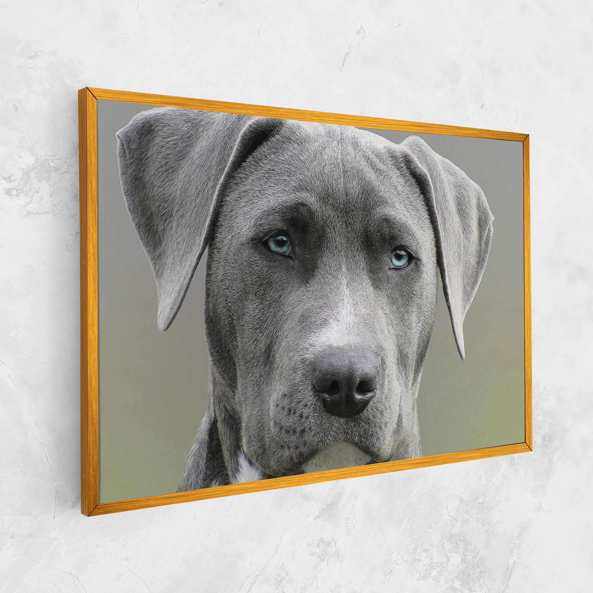 Vászonkép Blue Eyes Dog mockup 1