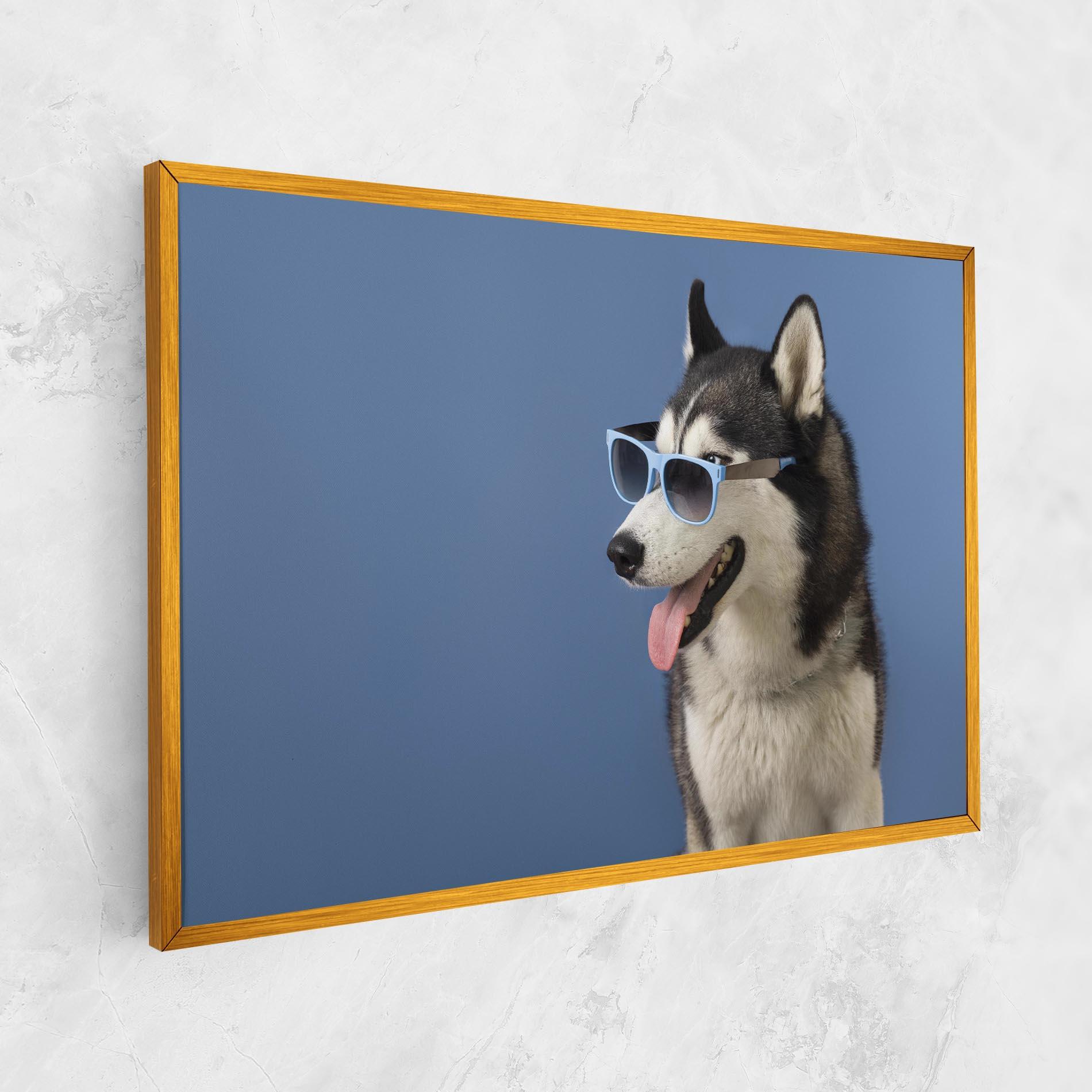 Vászonkép Blue Glasses Dog mockup 1