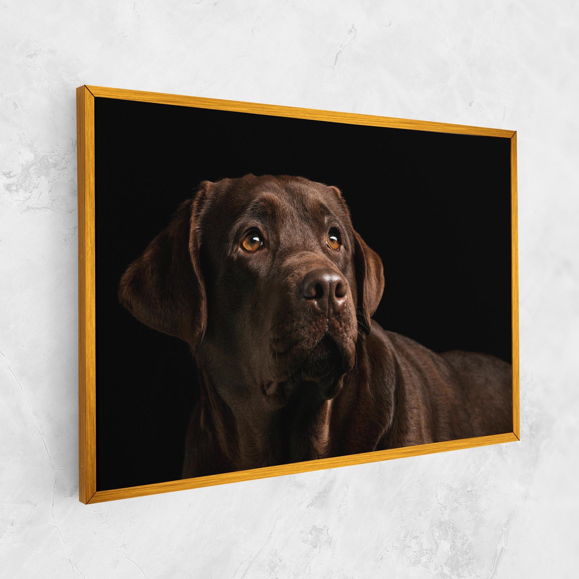 Vászonkép Brown Labrador mockup 1