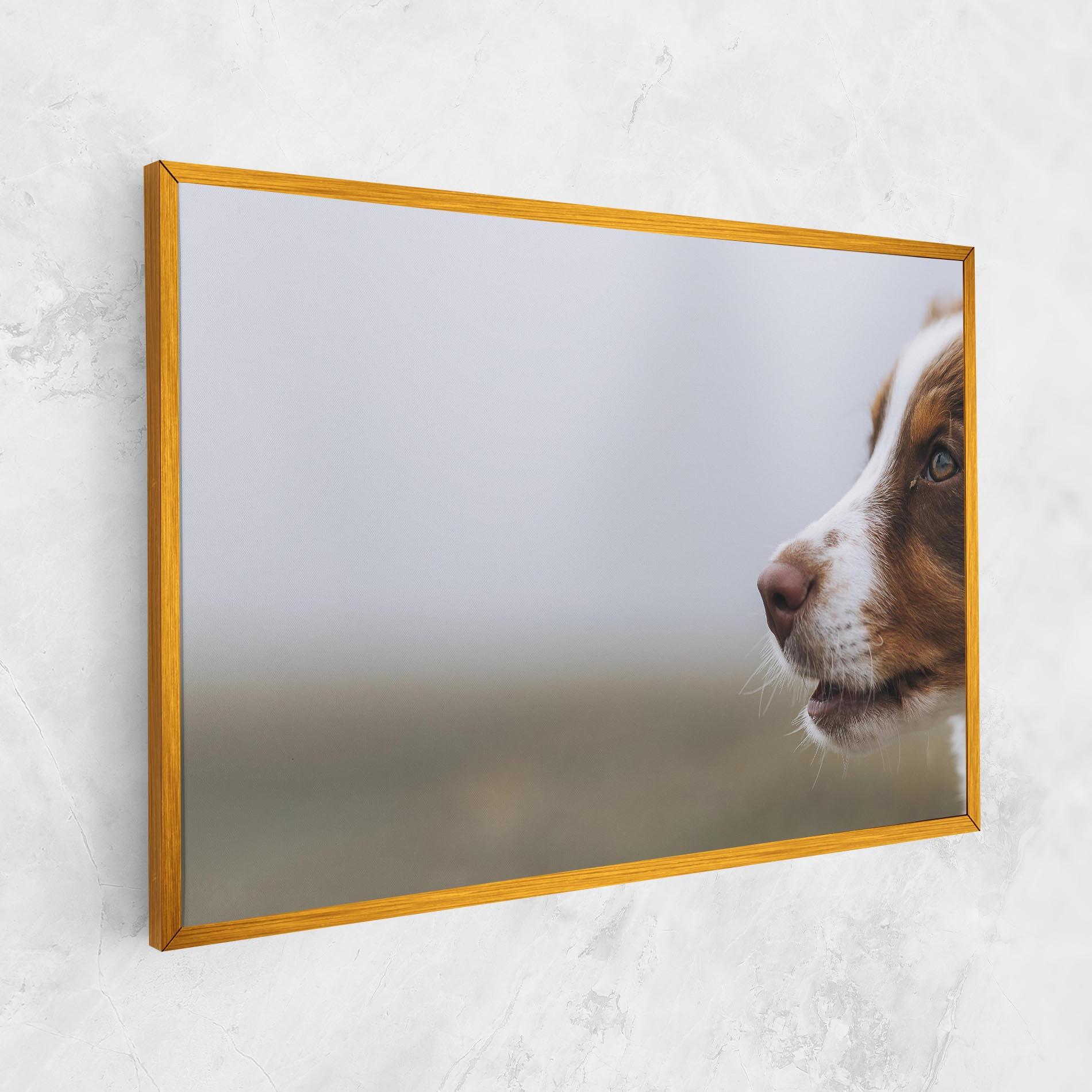 Vászonkép Brown White Dog mockup 1