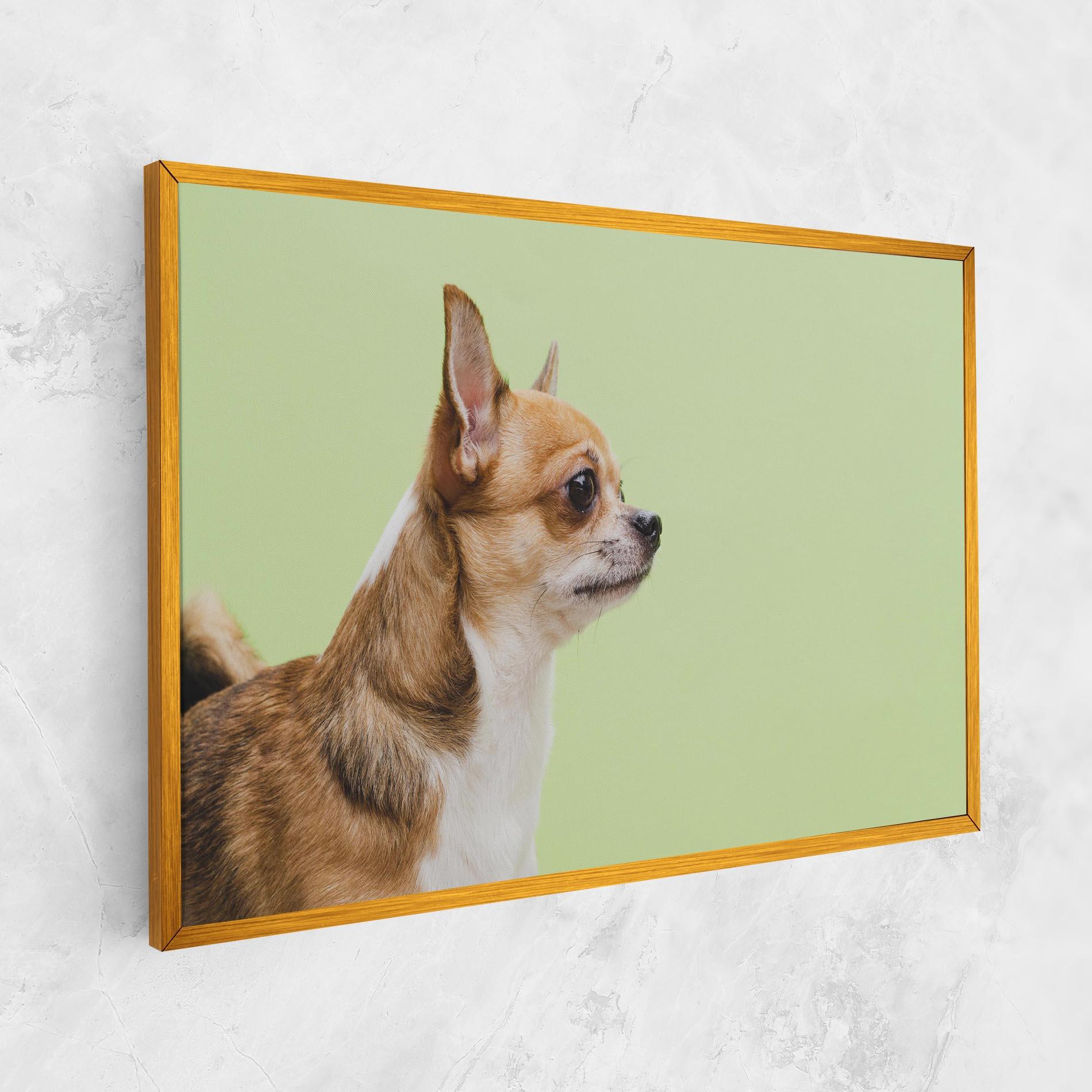 Vászonkép Chihuahua Dog mockup 1