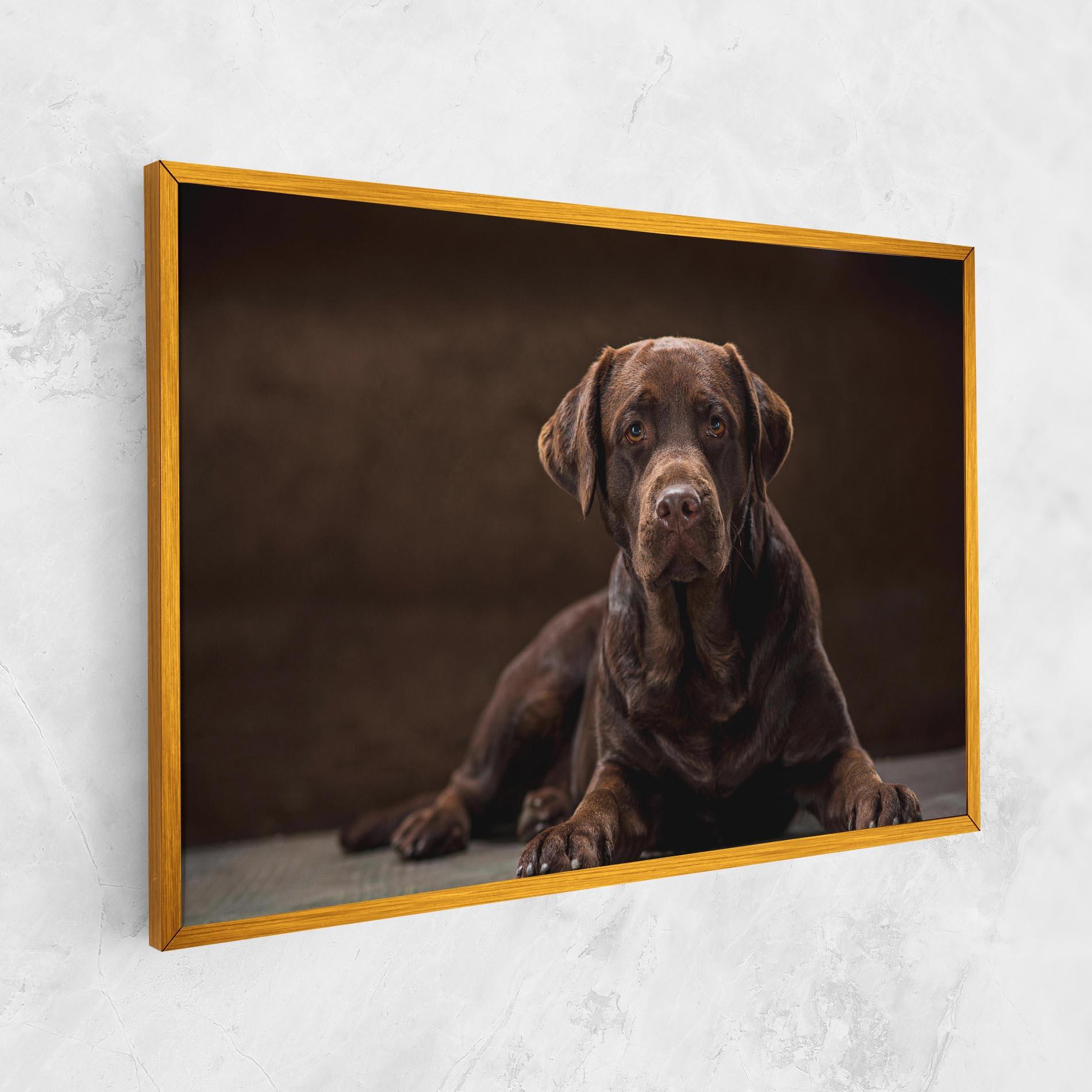 Vászonkép Cute Brown Labrador mockup 1