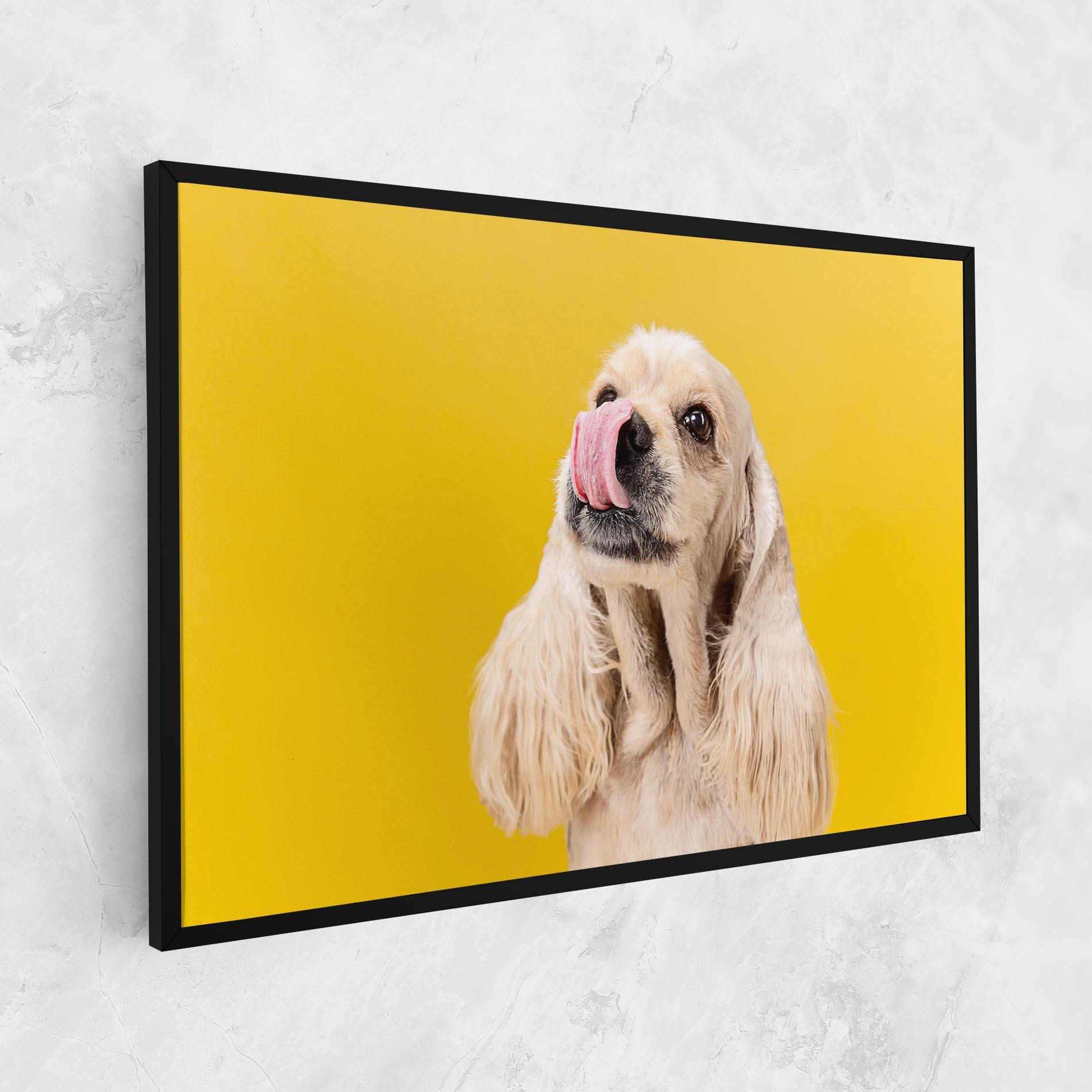 Vászonkép American Spaniel mockup 1