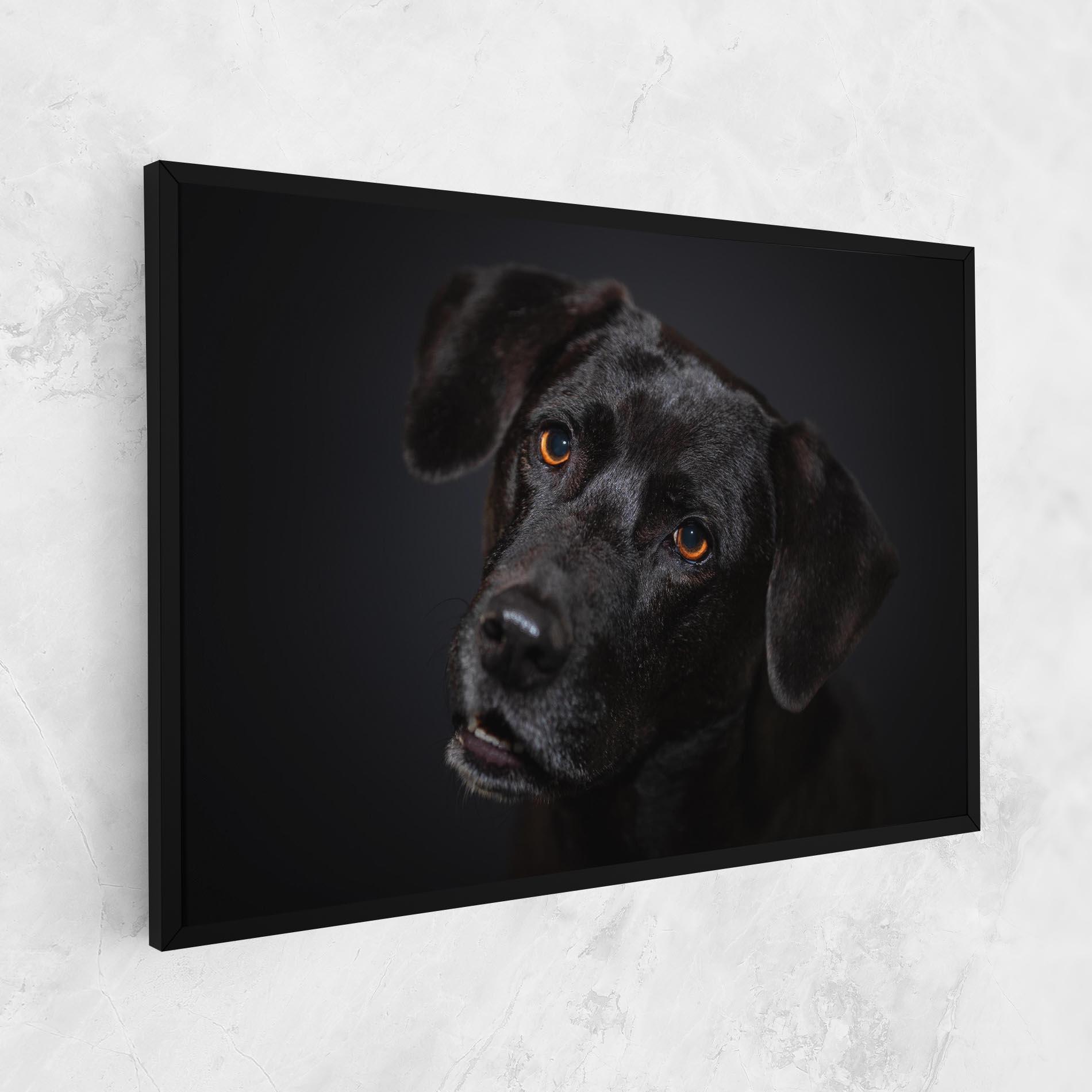 Vászonkép Black Dog Portrait mockup 1