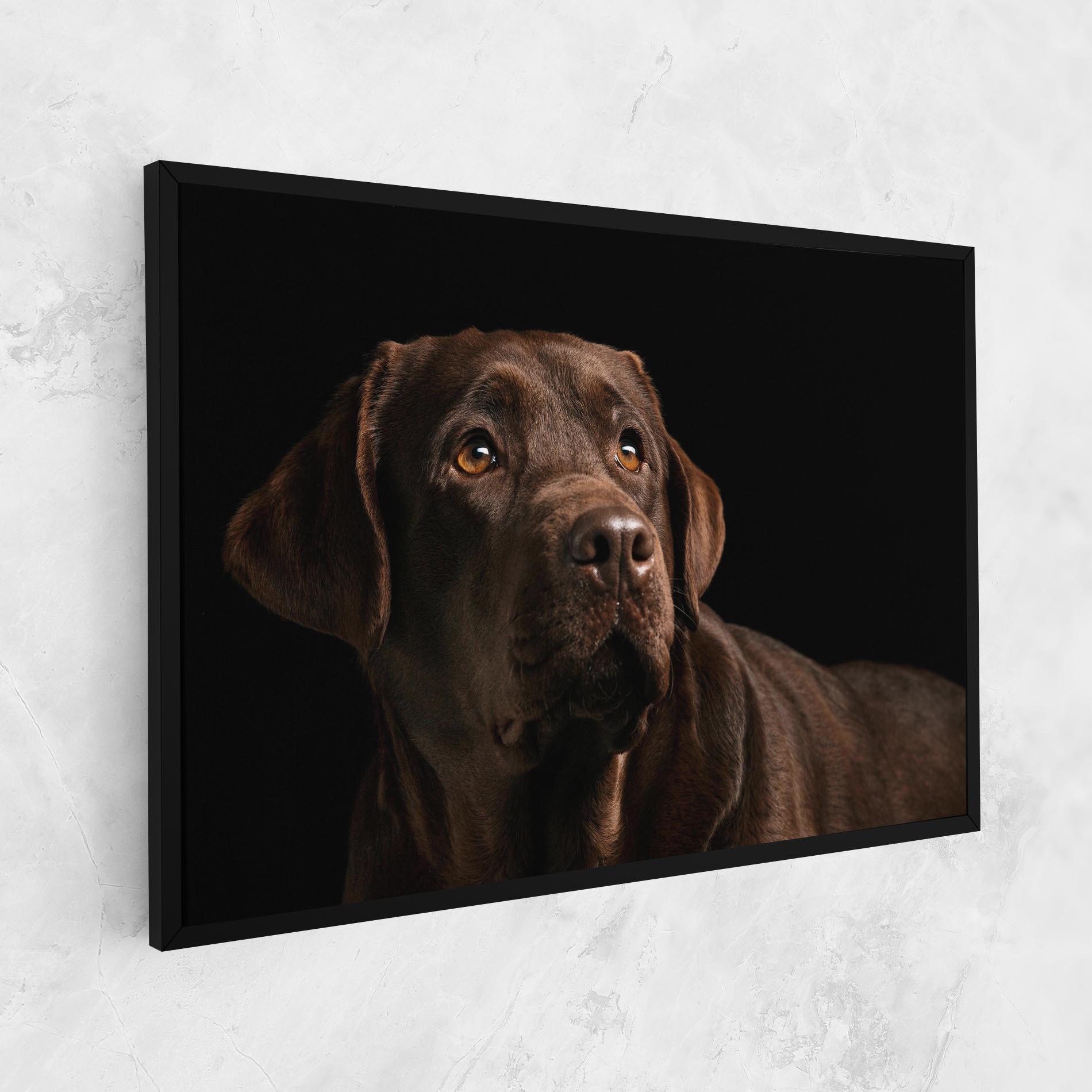 Vászonkép Brown Labrador mockup 1