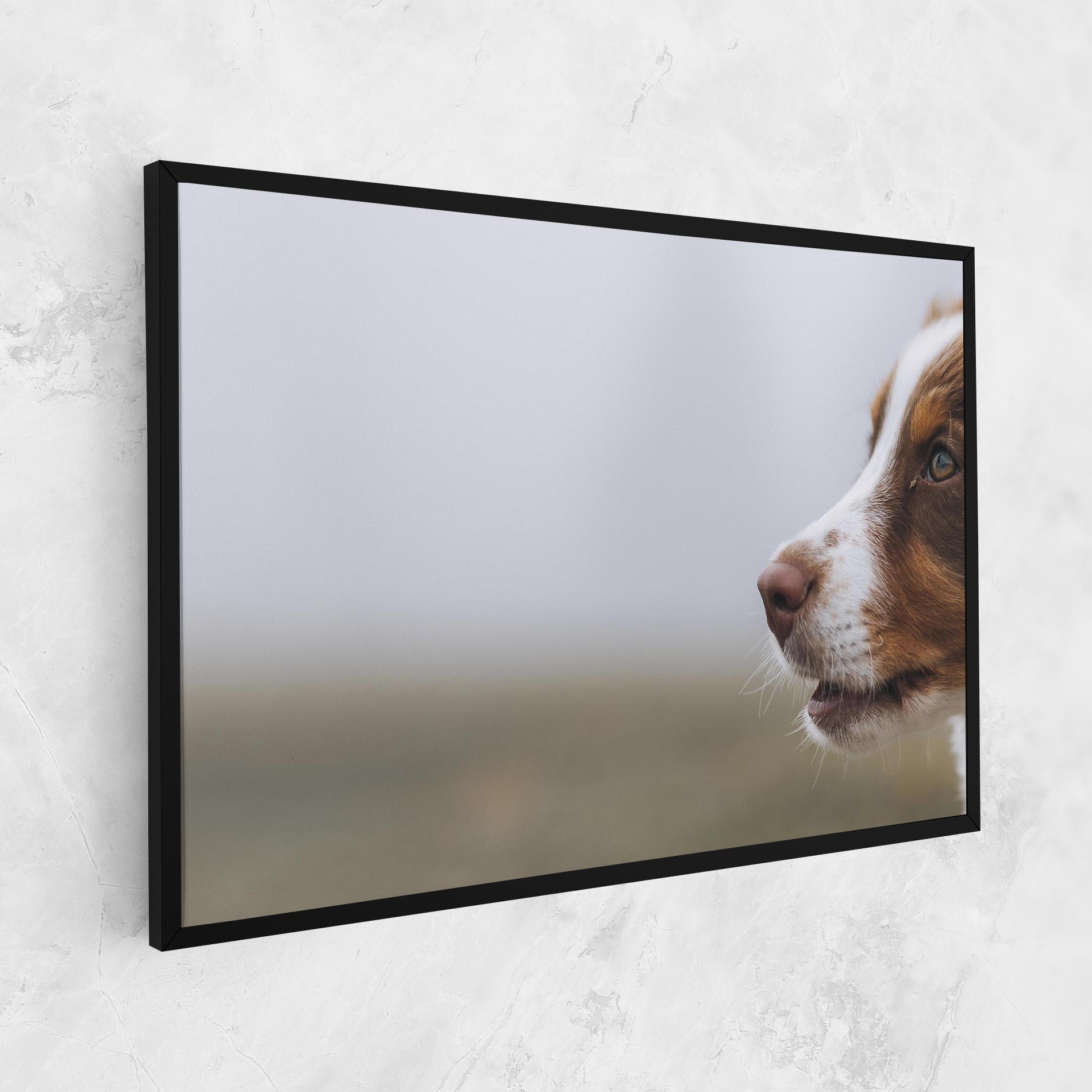 Vászonkép Brown White Dog mockup 1