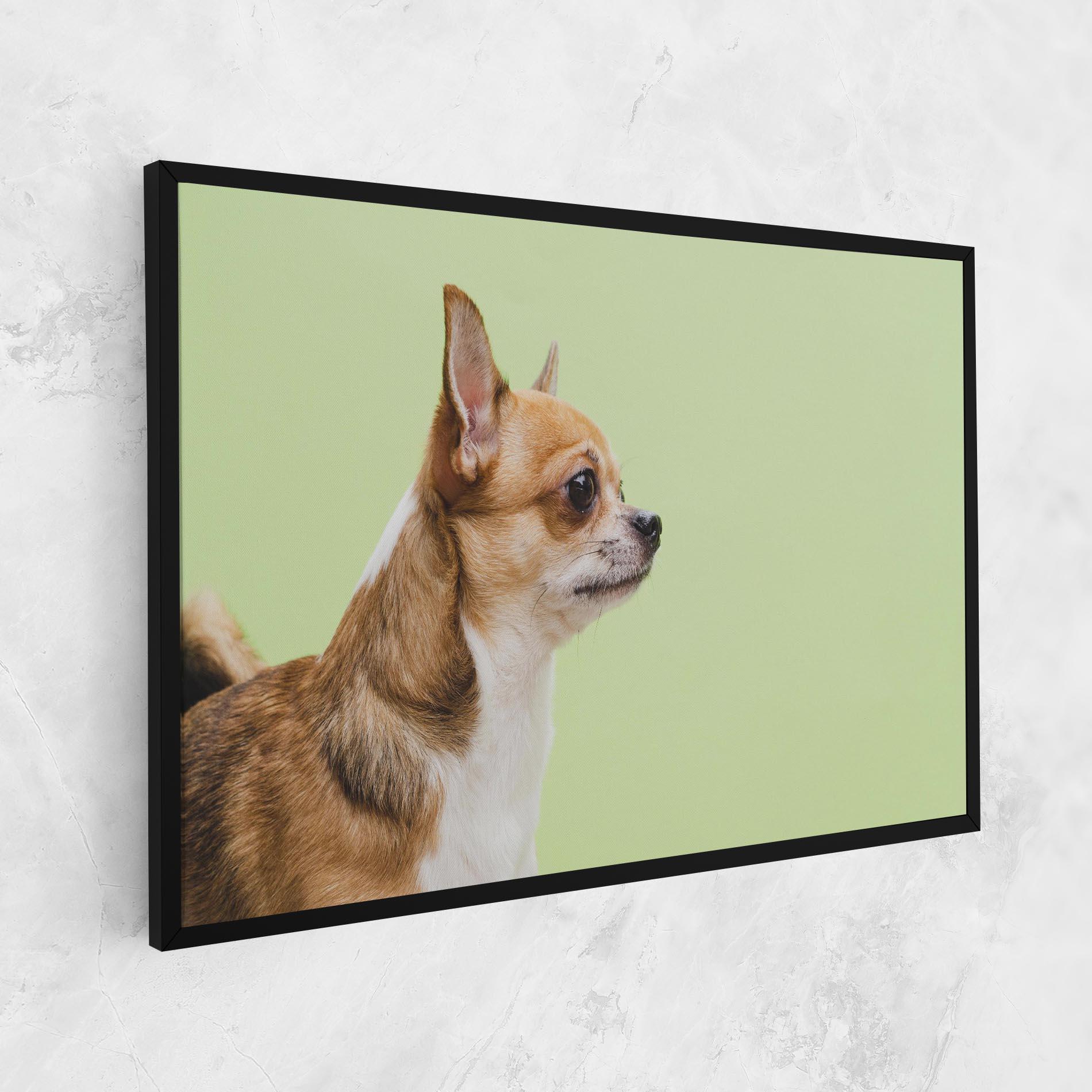 Vászonkép Chihuahua Dog mockup 1