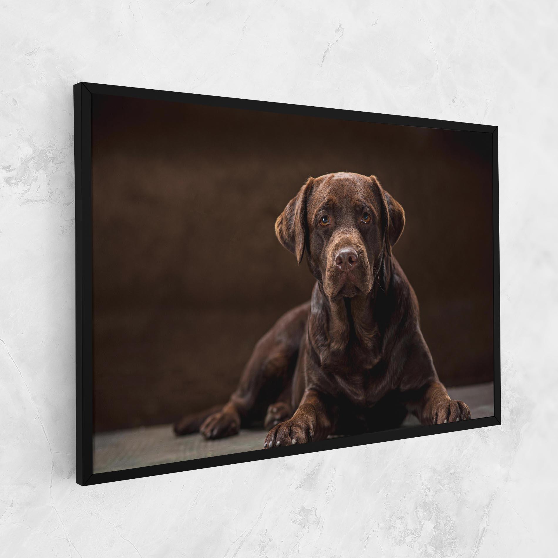 Vászonkép Cute Brown Labrador mockup 1