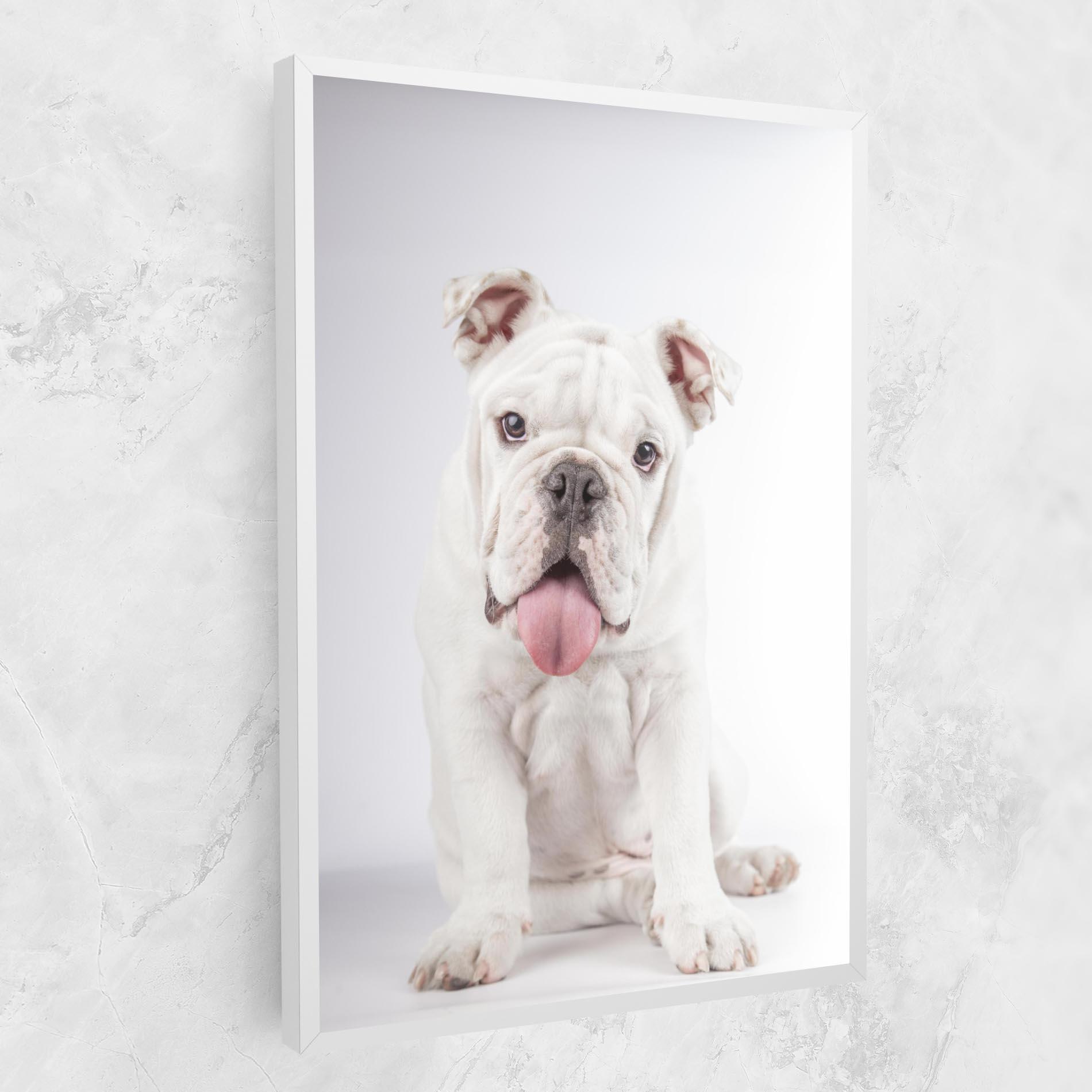 Vászonkép English Bulldog mockup 1