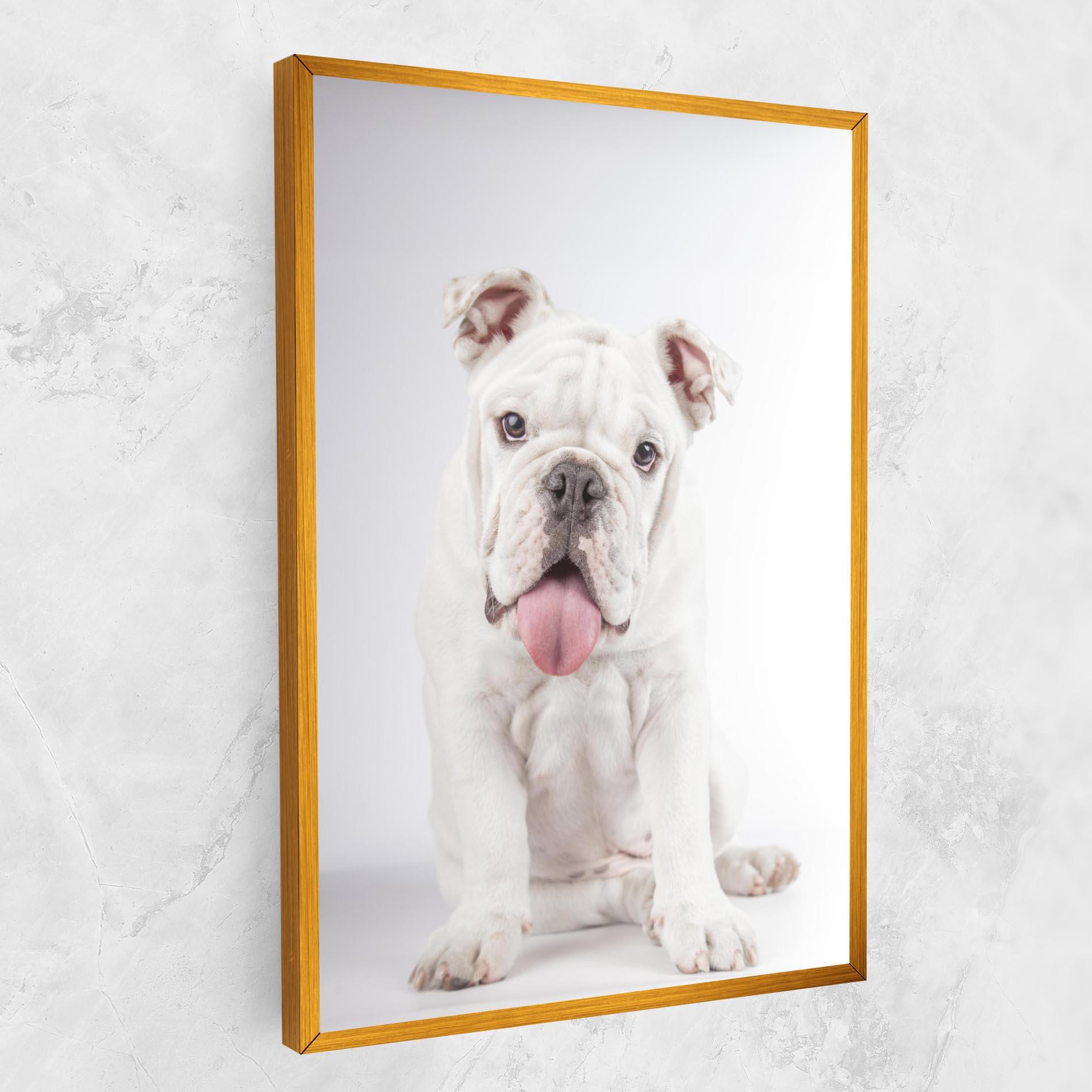 Vászonkép English Bulldog mockup 1