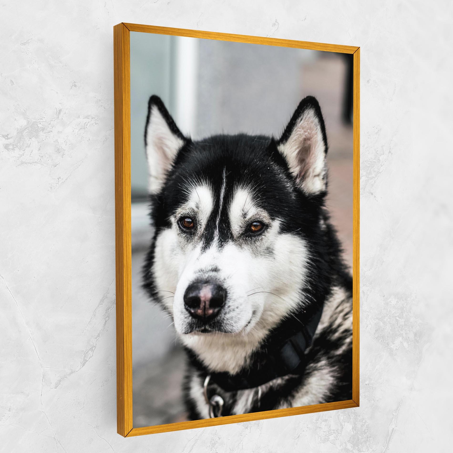 Vászonkép Husky Dog mockup 1