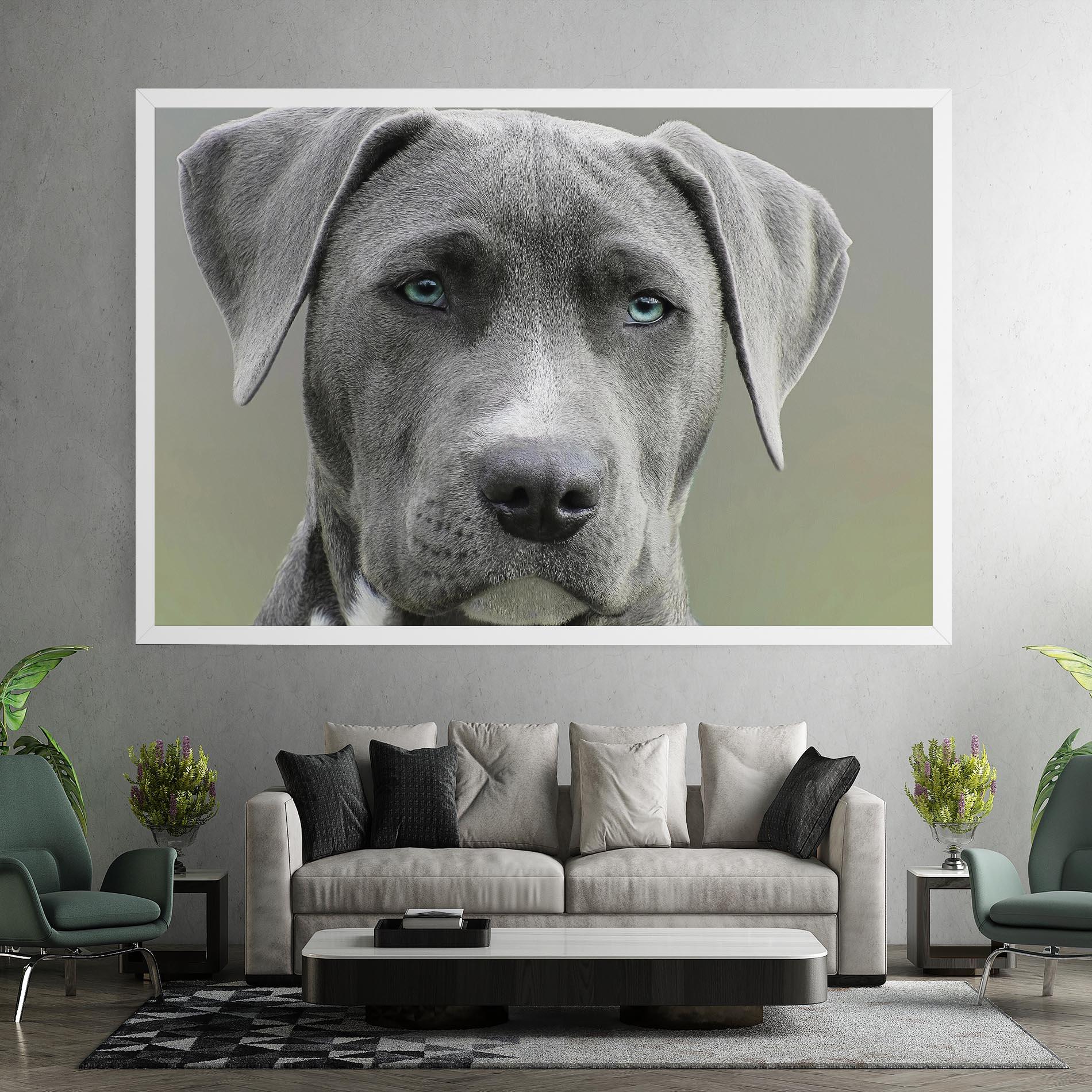 Vászonkép Blue Eyes Dog mockup 7
