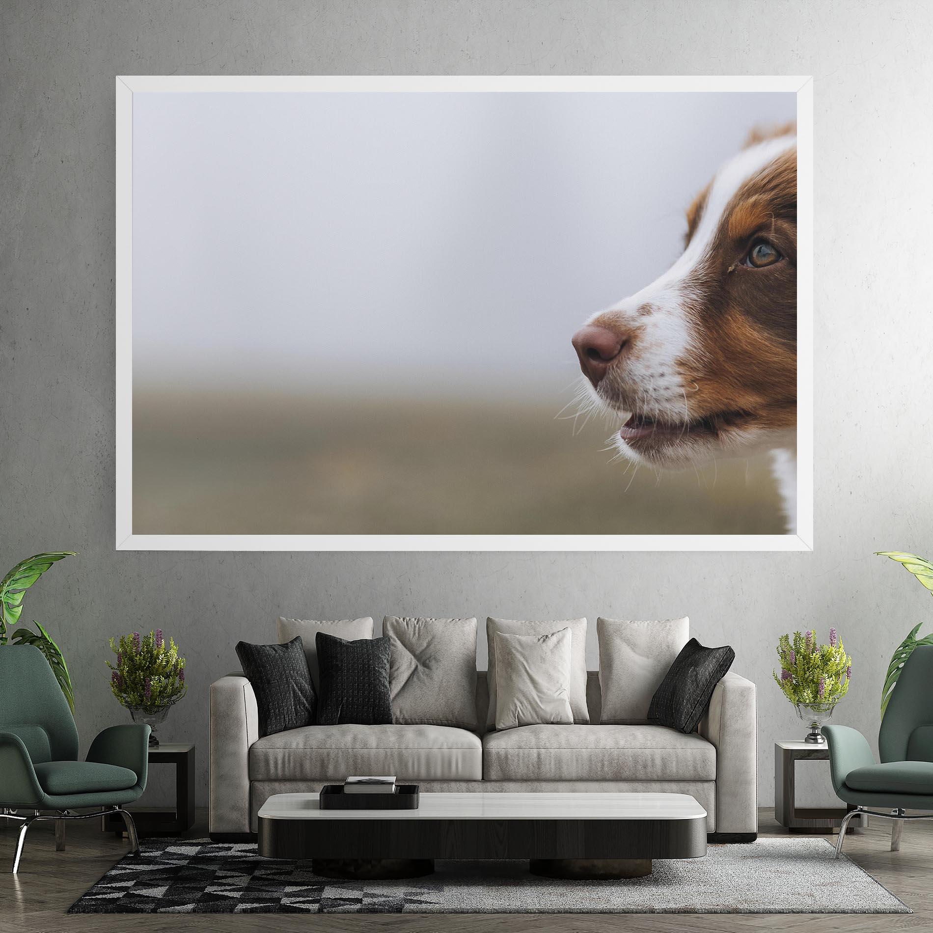 Vászonkép Brown White Dog mockup 7
