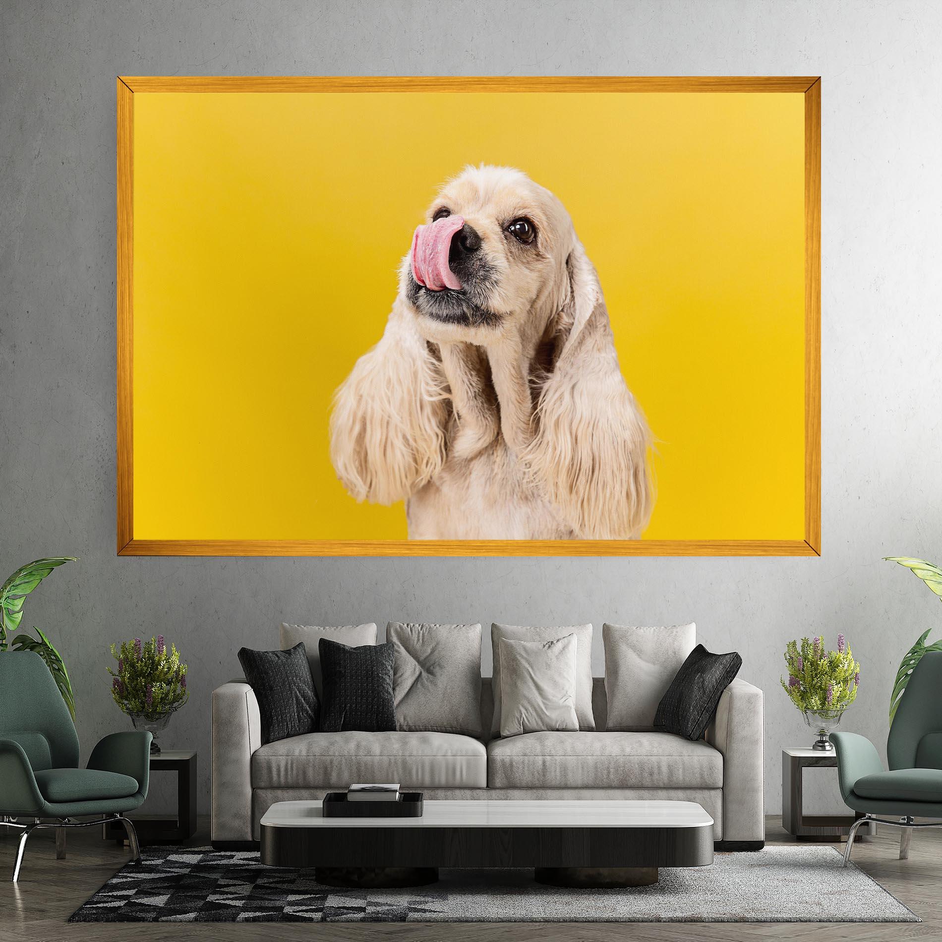 Vászonkép American Spaniel mockup 7