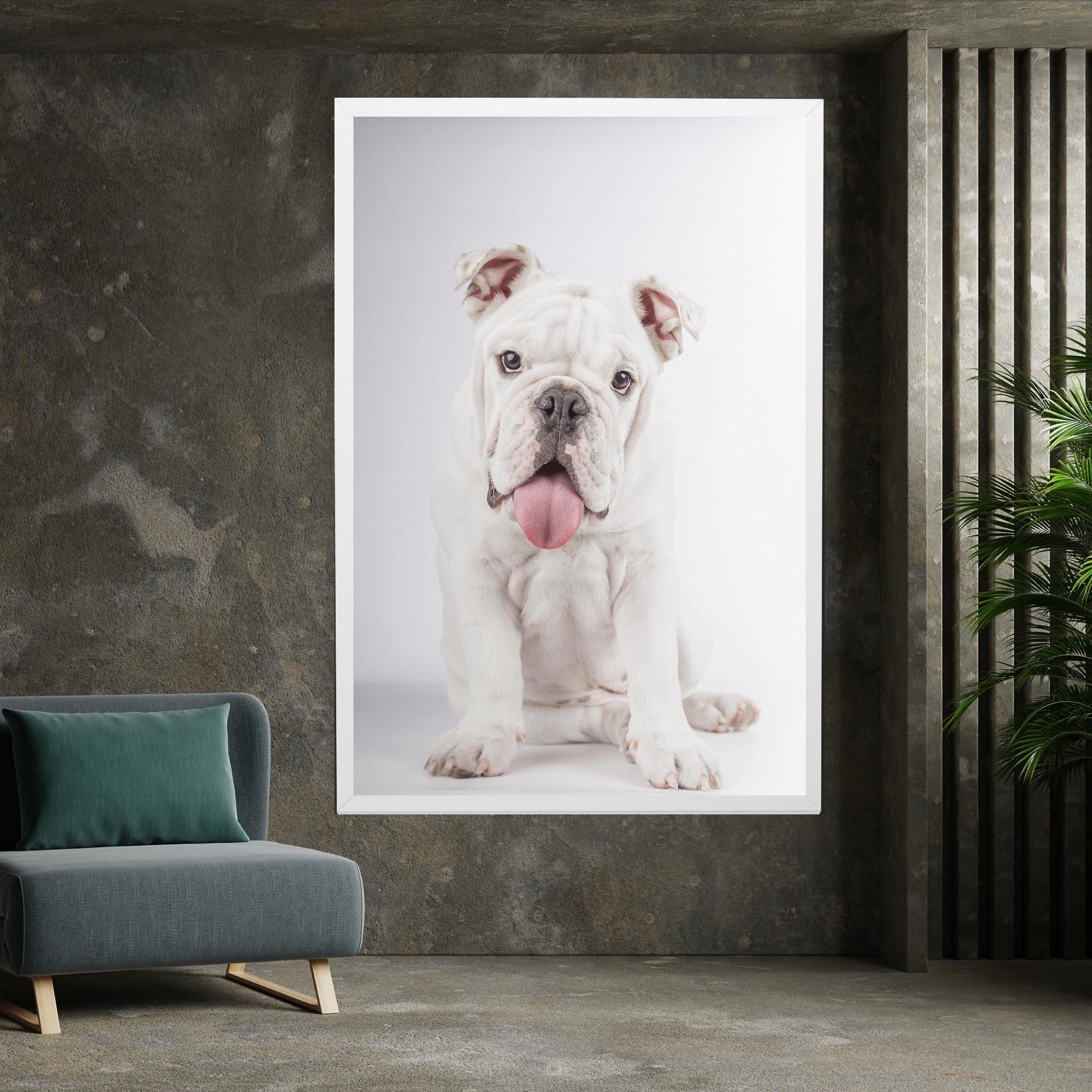 Vászonkép English Bulldog mockup 7