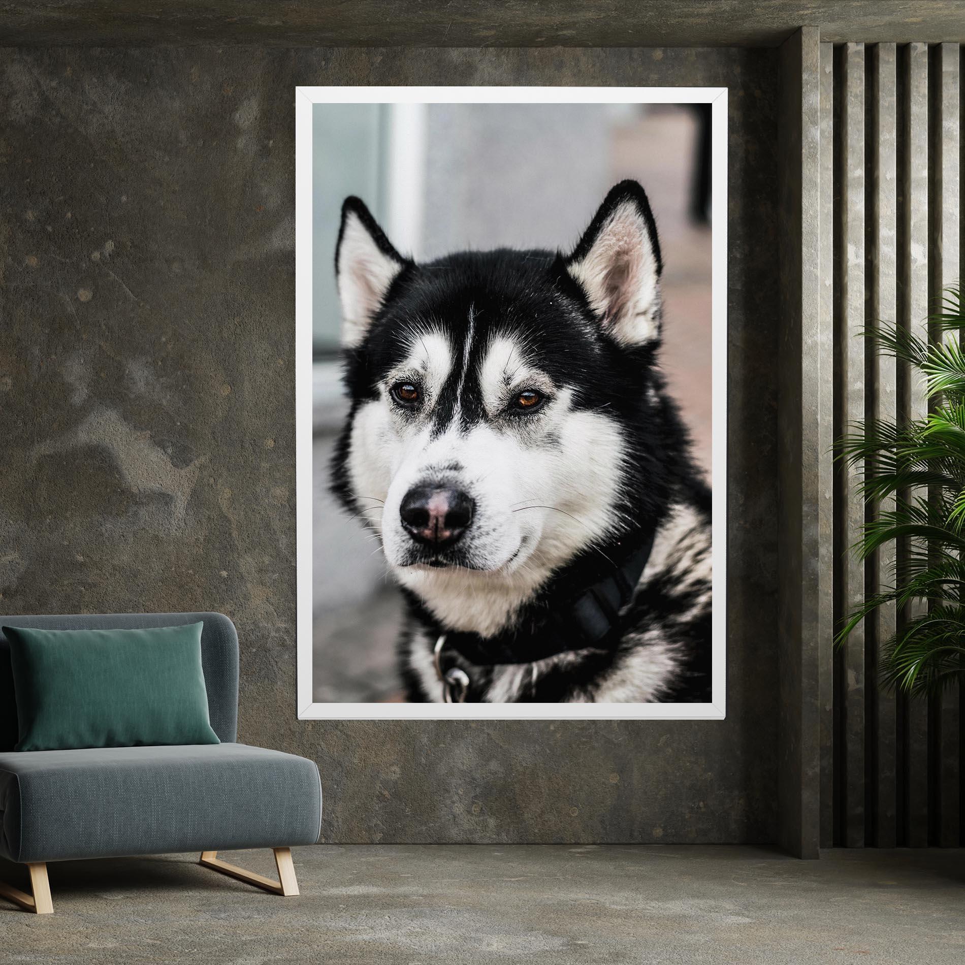 Vászonkép Husky Dog mockup 7