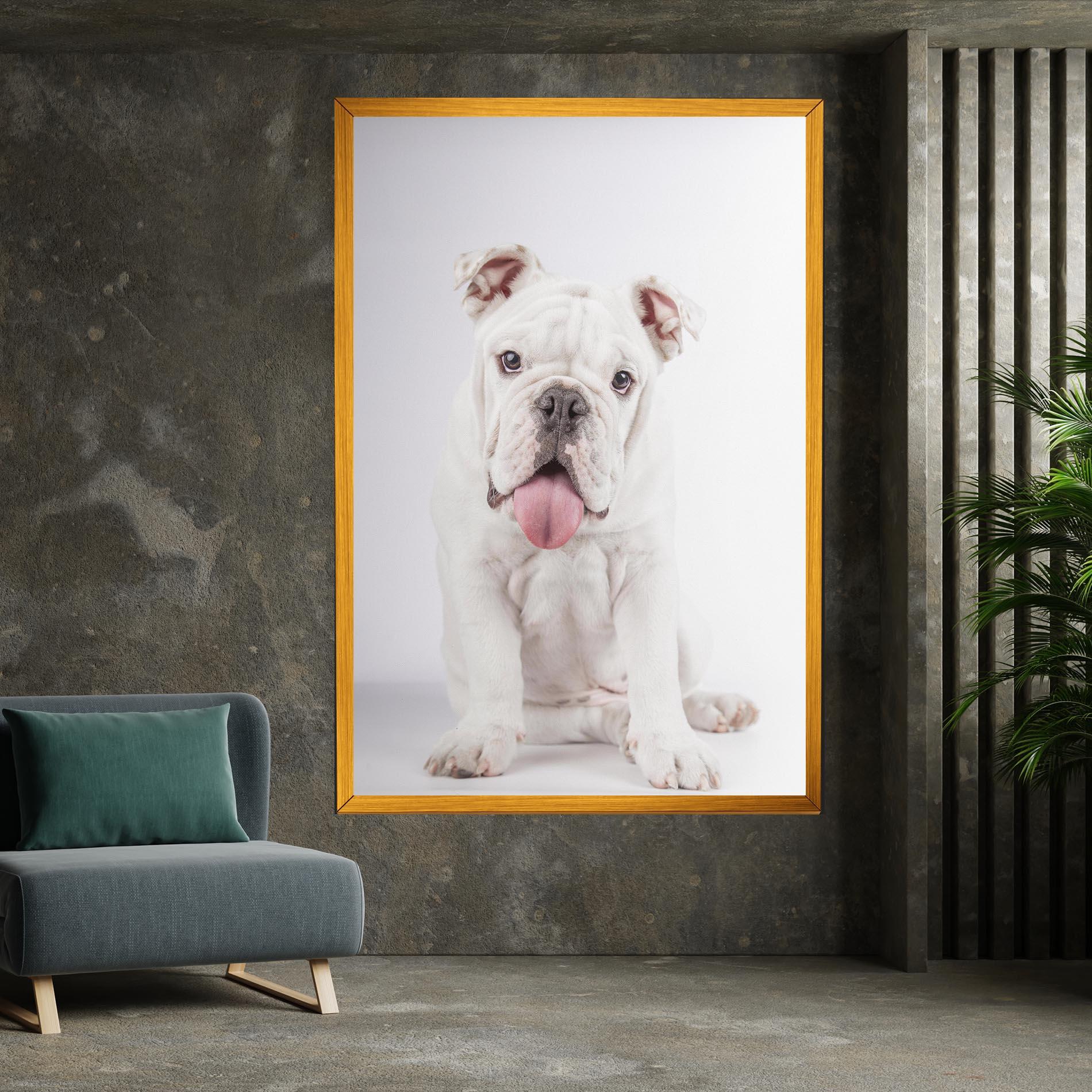 Vászonkép English Bulldog mockup 7