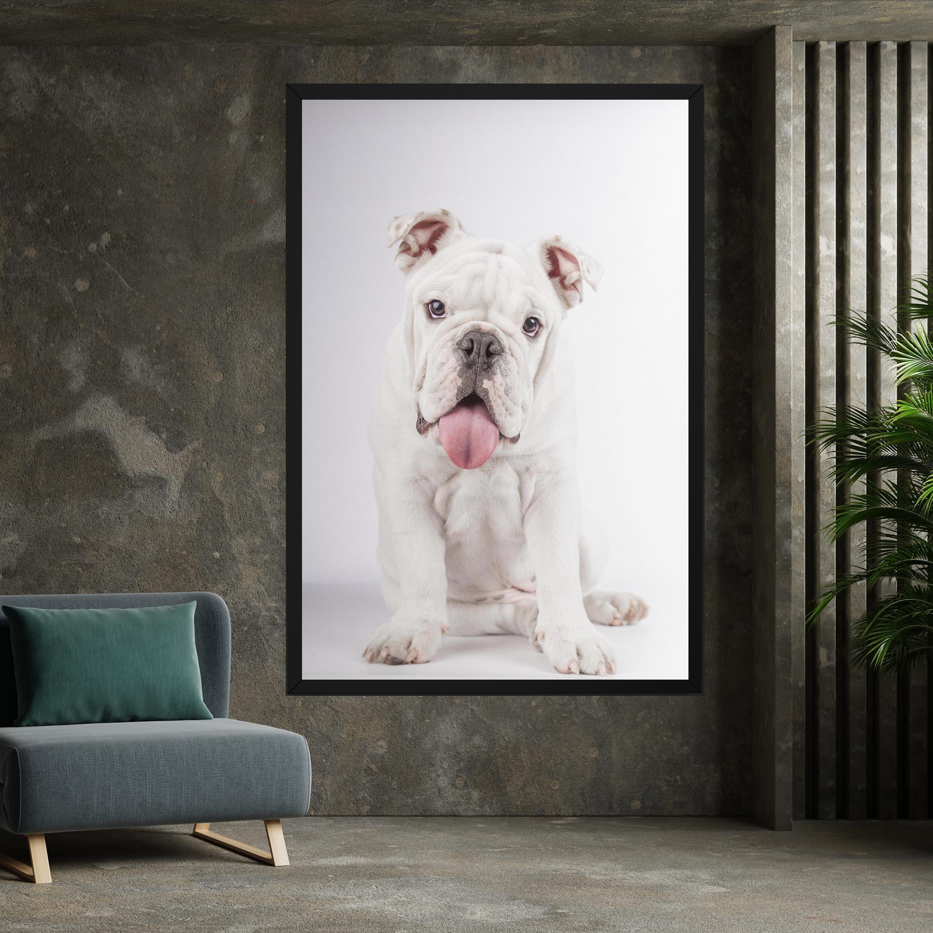 Vászonkép English Bulldog mockup 7