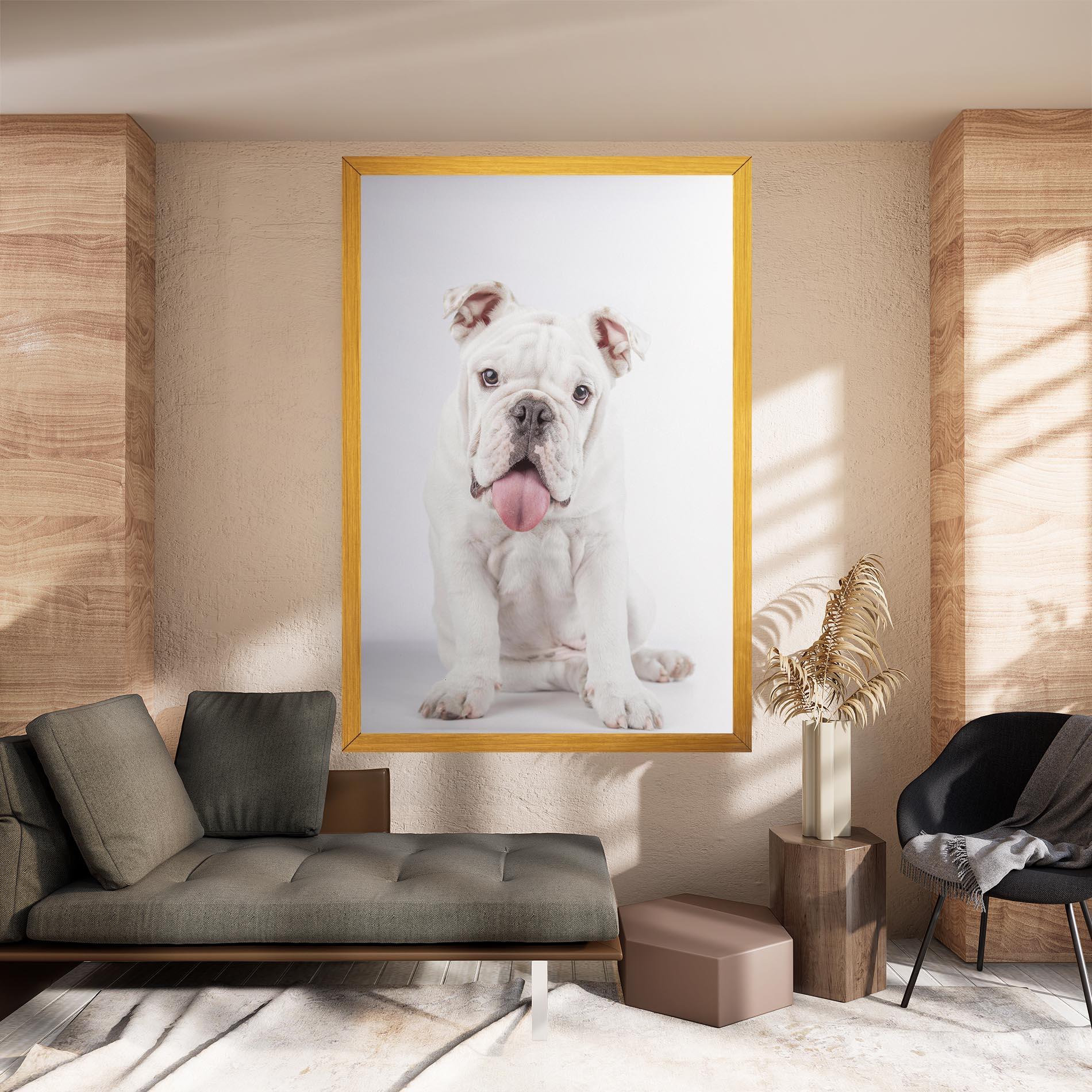 Vászonkép English Bulldog mockup 8