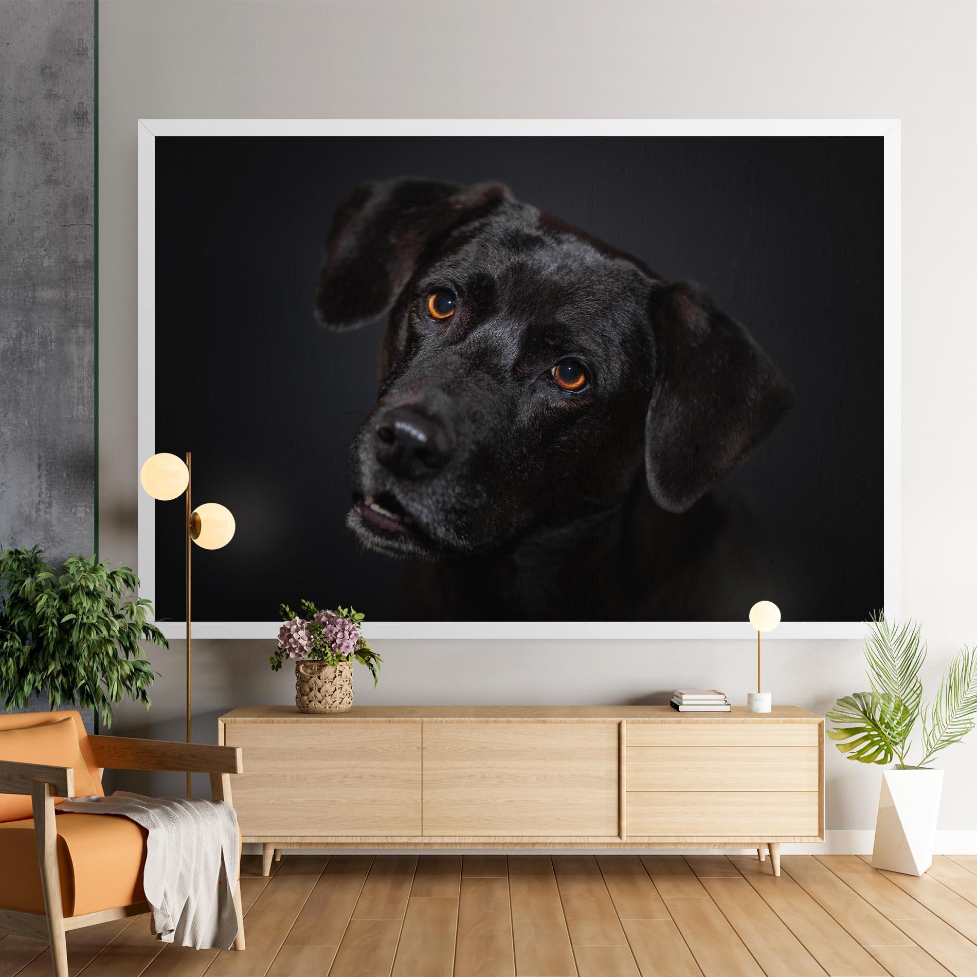 Vászonkép Black Dog Portrait mockup 9