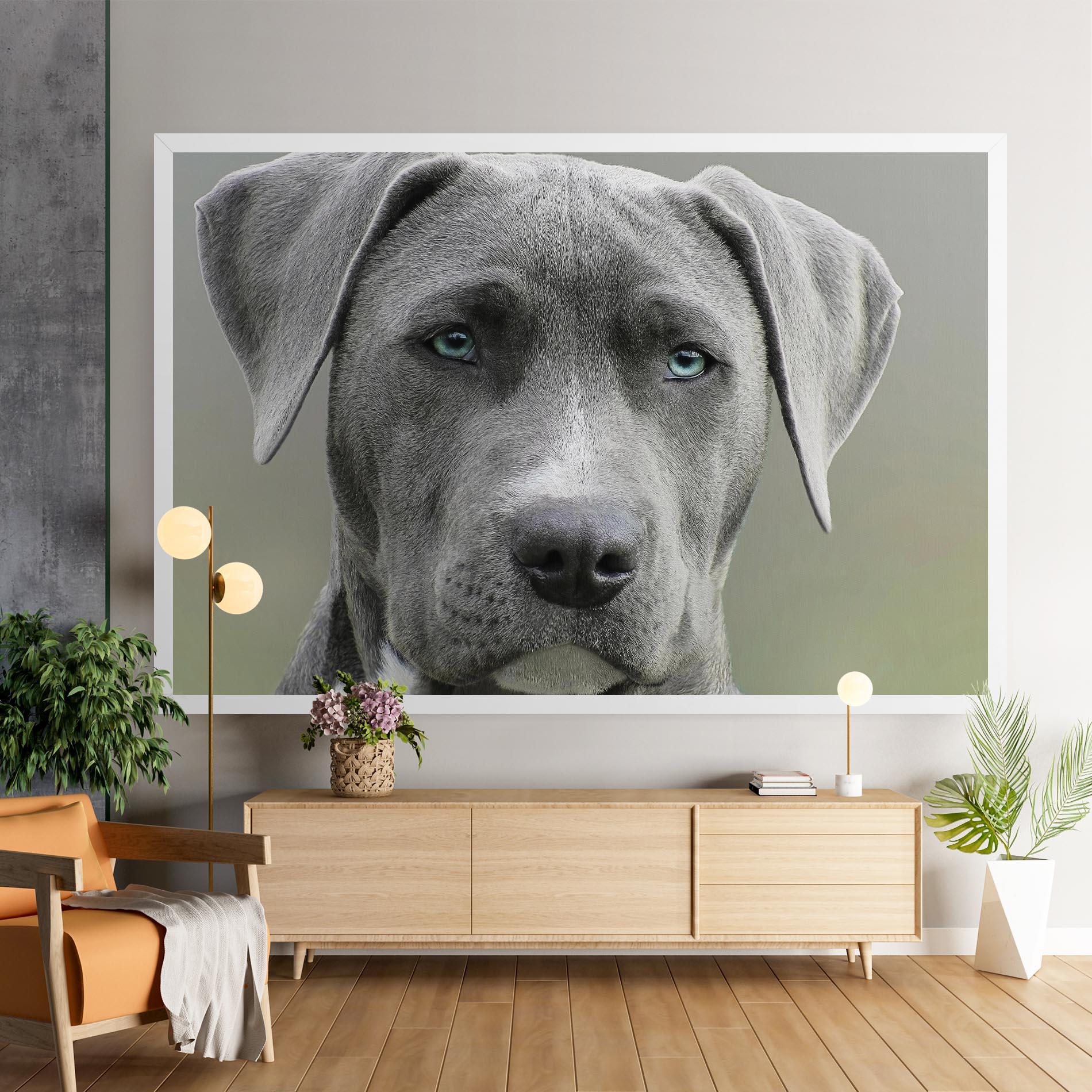 Vászonkép Blue Eyes Dog mockup 9