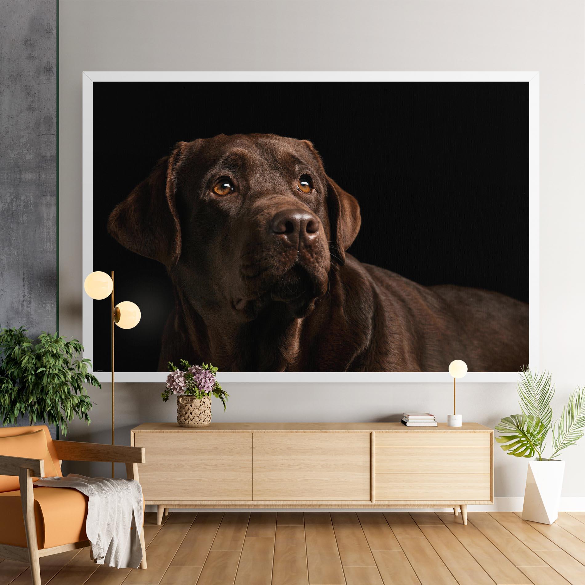 Vászonkép Brown Labrador mockup 9