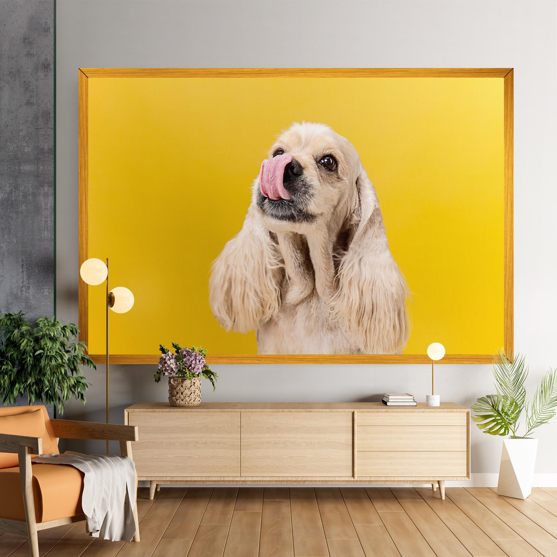 Vászonkép American Spaniel mockup 9
