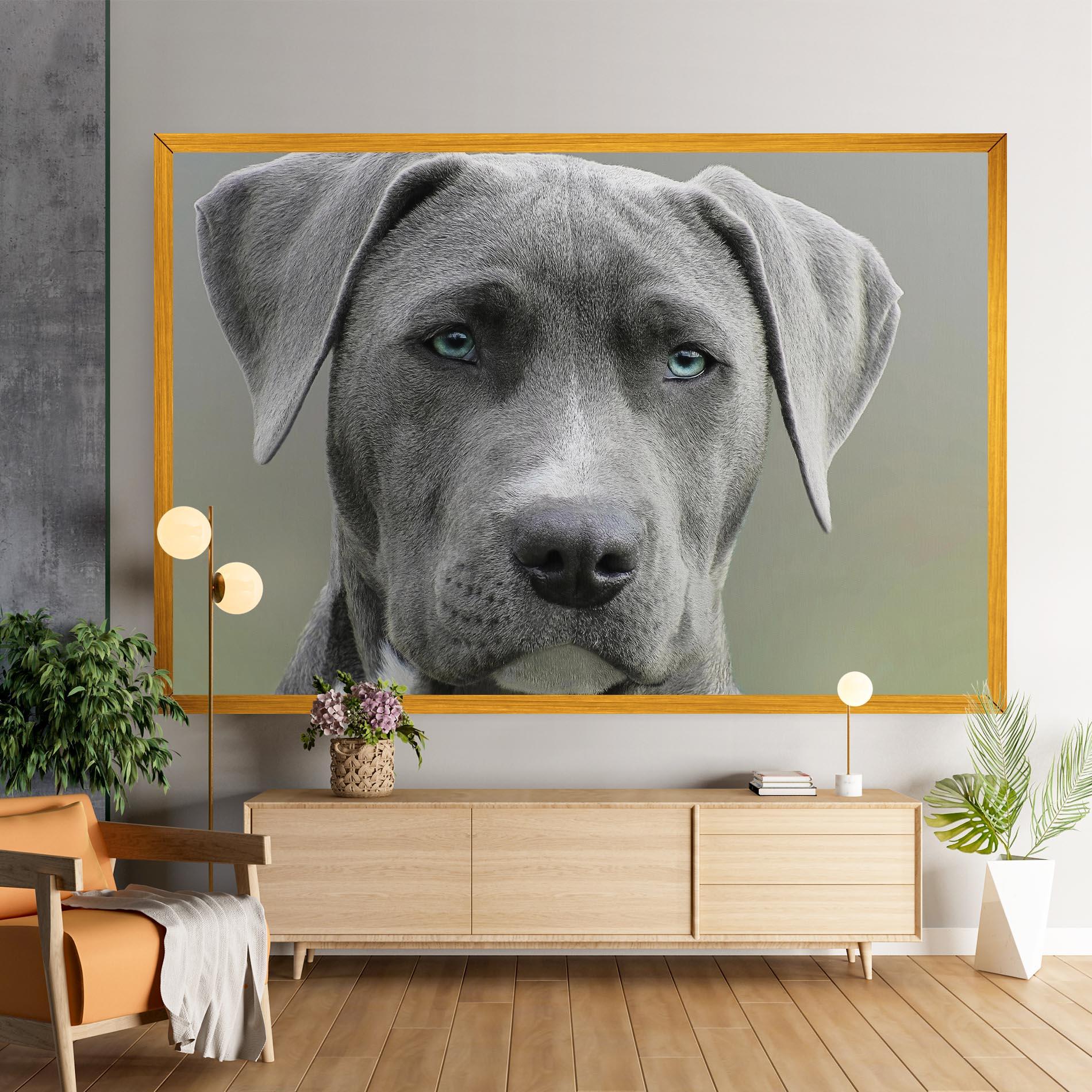 Vászonkép Blue Eyes Dog mockup 9