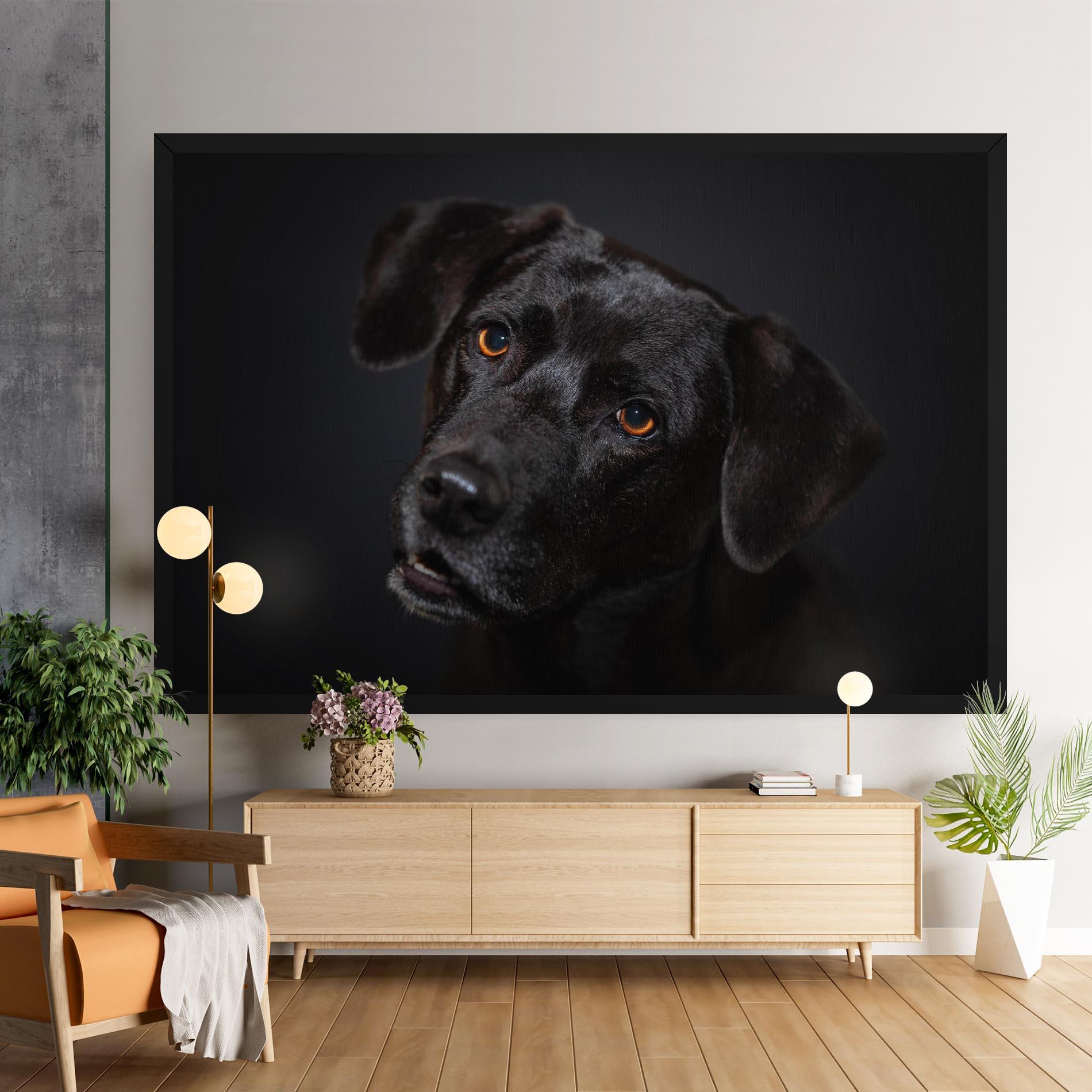 Vászonkép Black Dog Portrait mockup 9