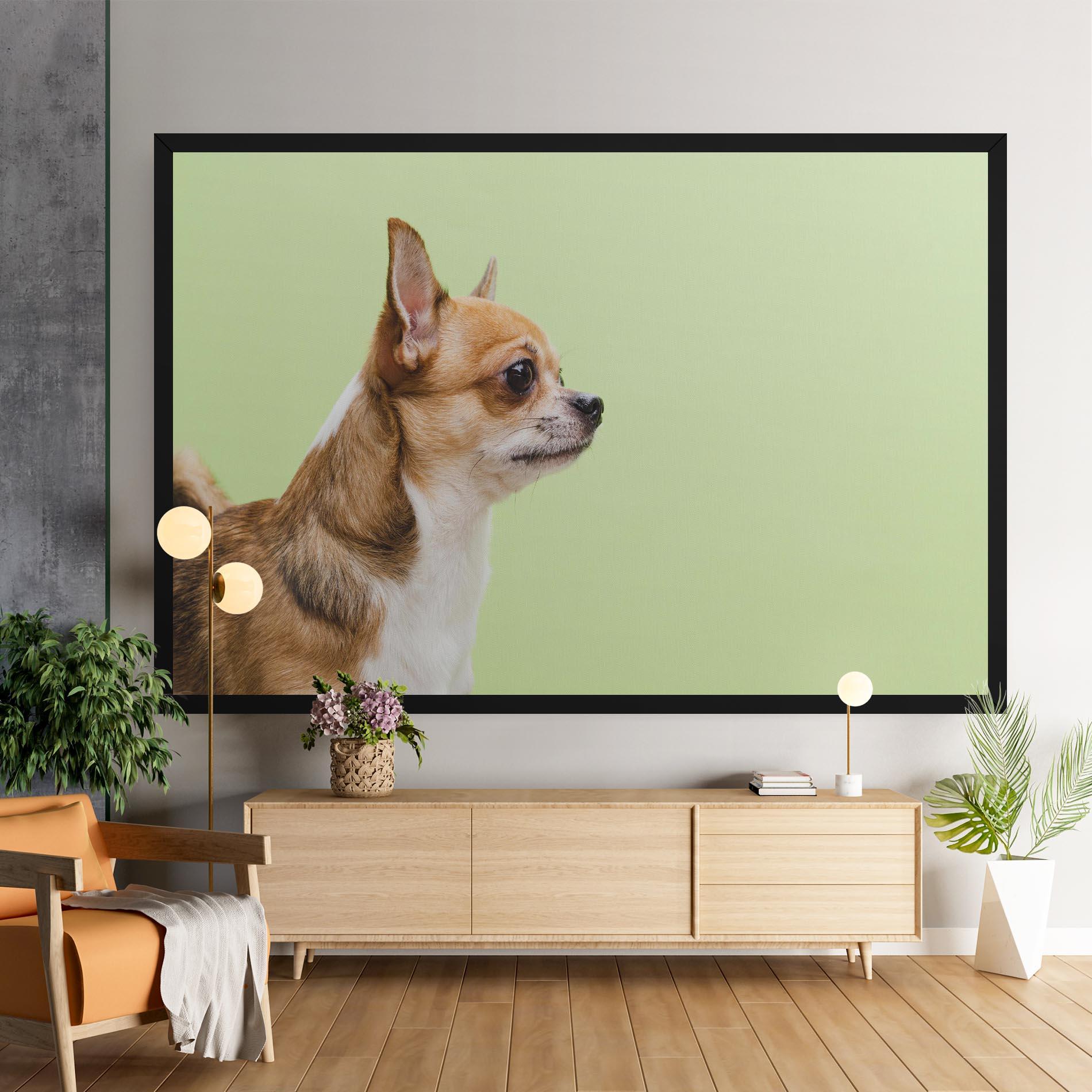 Vászonkép Chihuahua Dog mockup 9