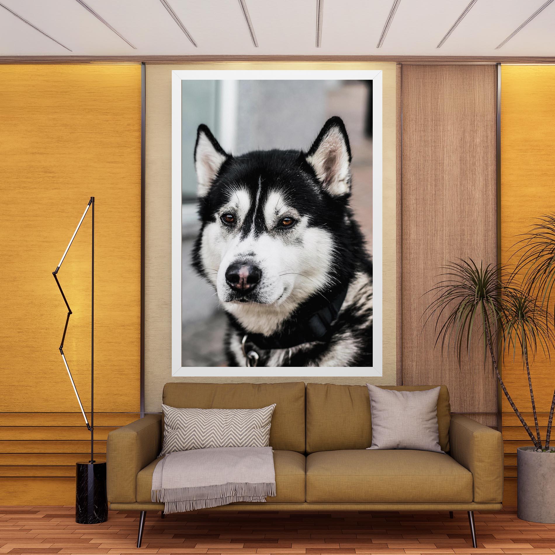 Vászonkép Husky Dog mockup 9