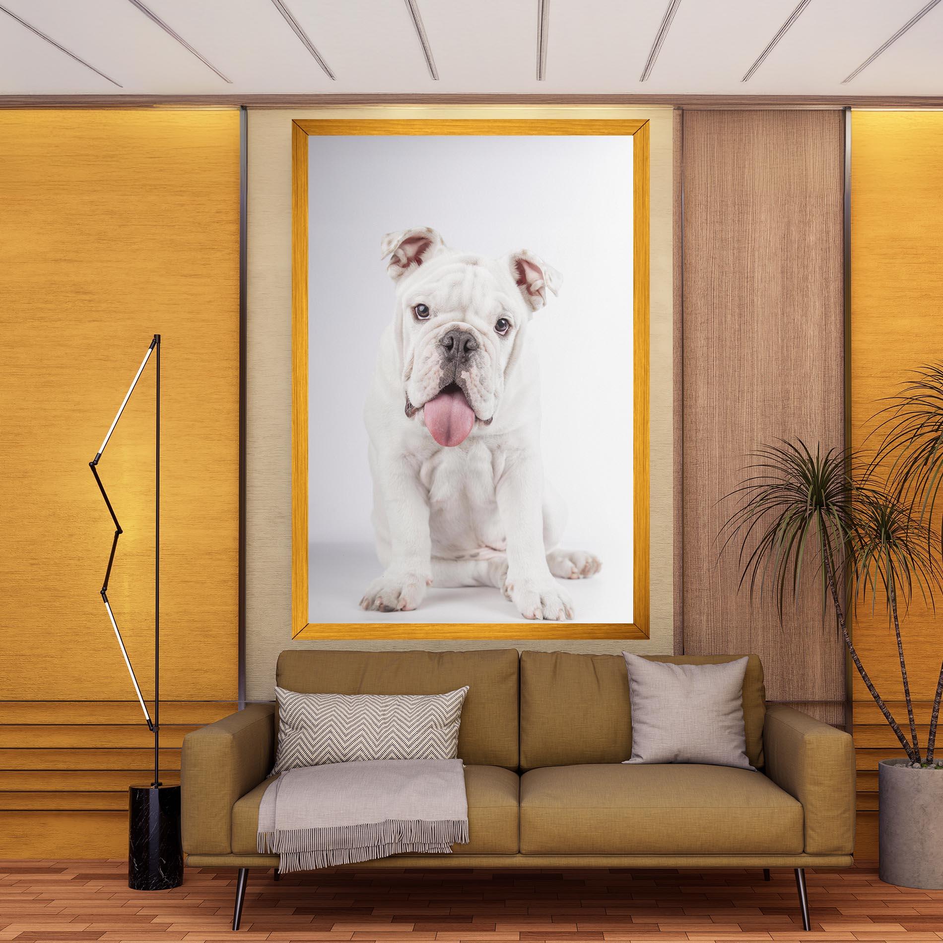 Vászonkép English Bulldog mockup 9