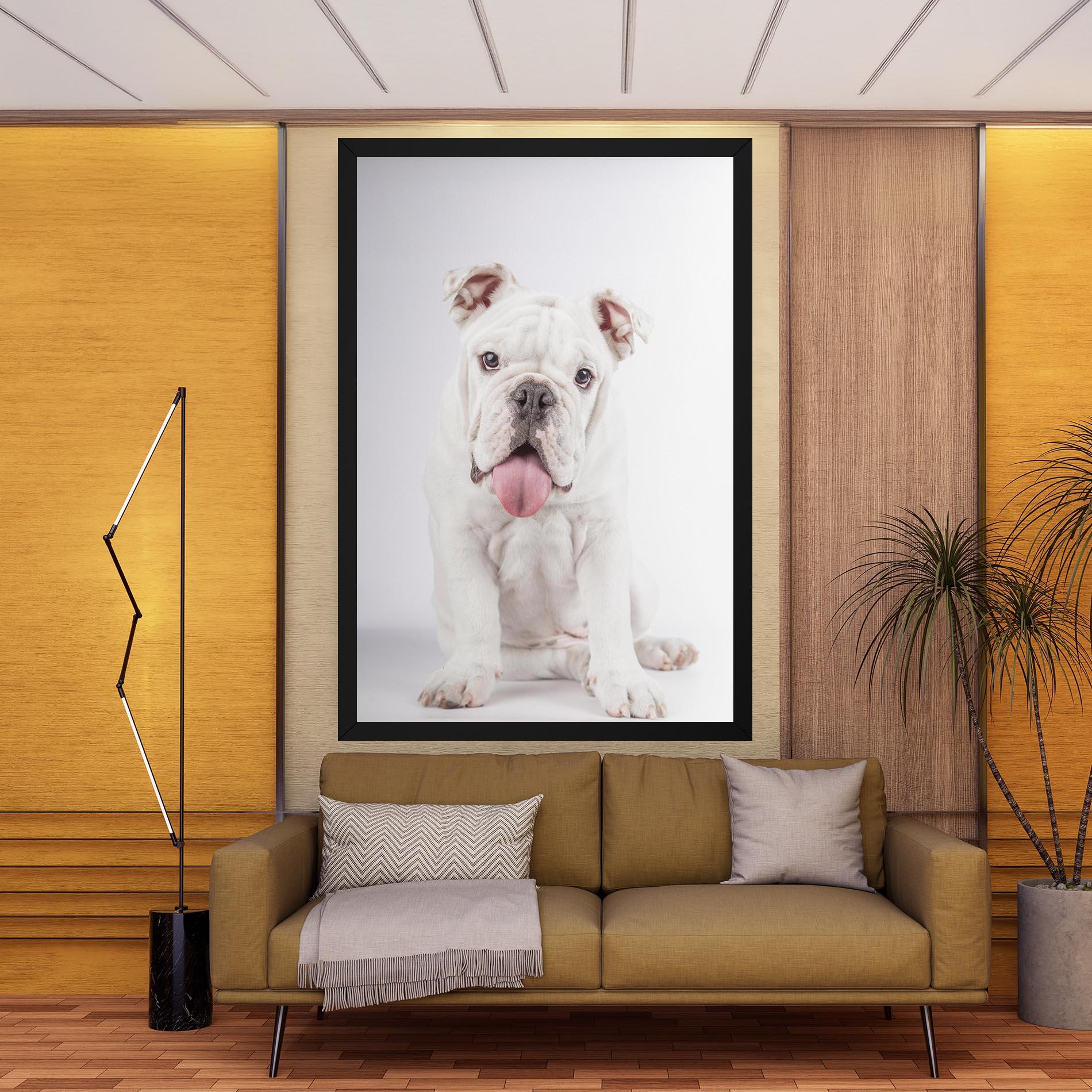 Vászonkép English Bulldog mockup 9