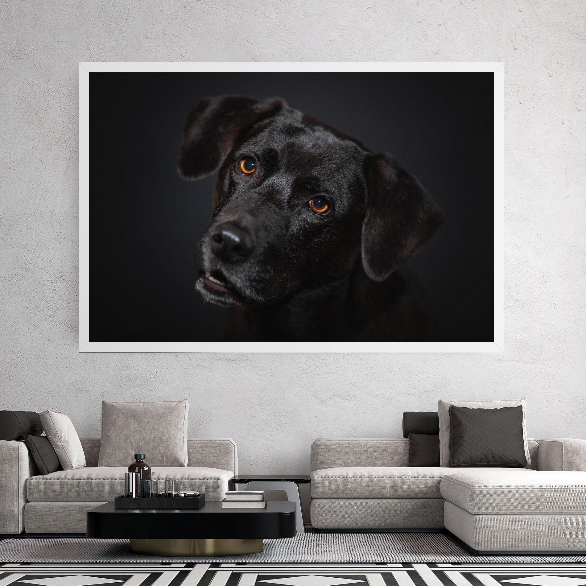 Vászonkép Black Dog Portrait mockup 2