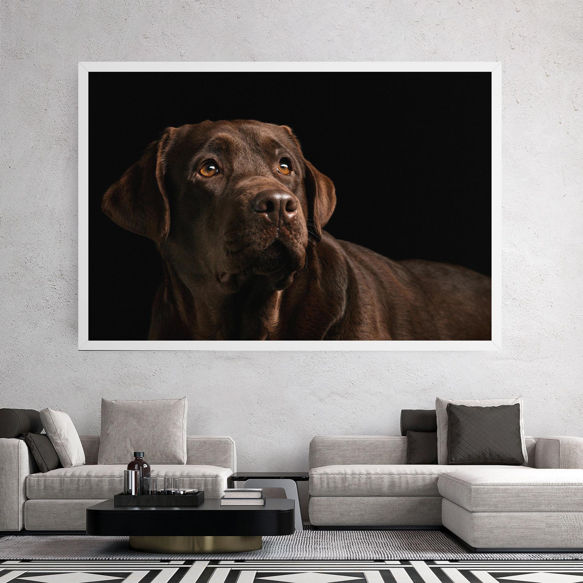 Vászonkép Brown Labrador mockup 2