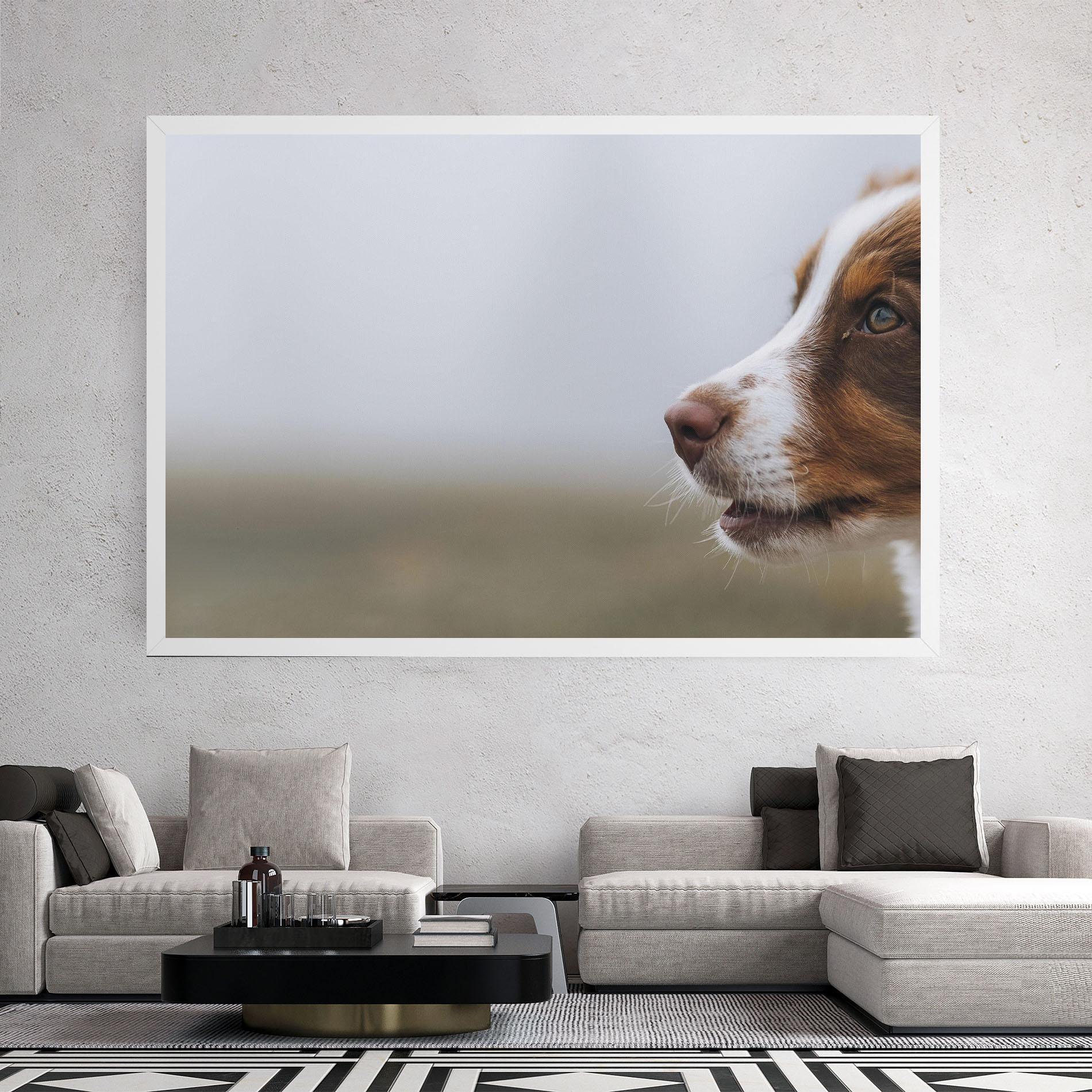 Vászonkép Brown White Dog mockup 2