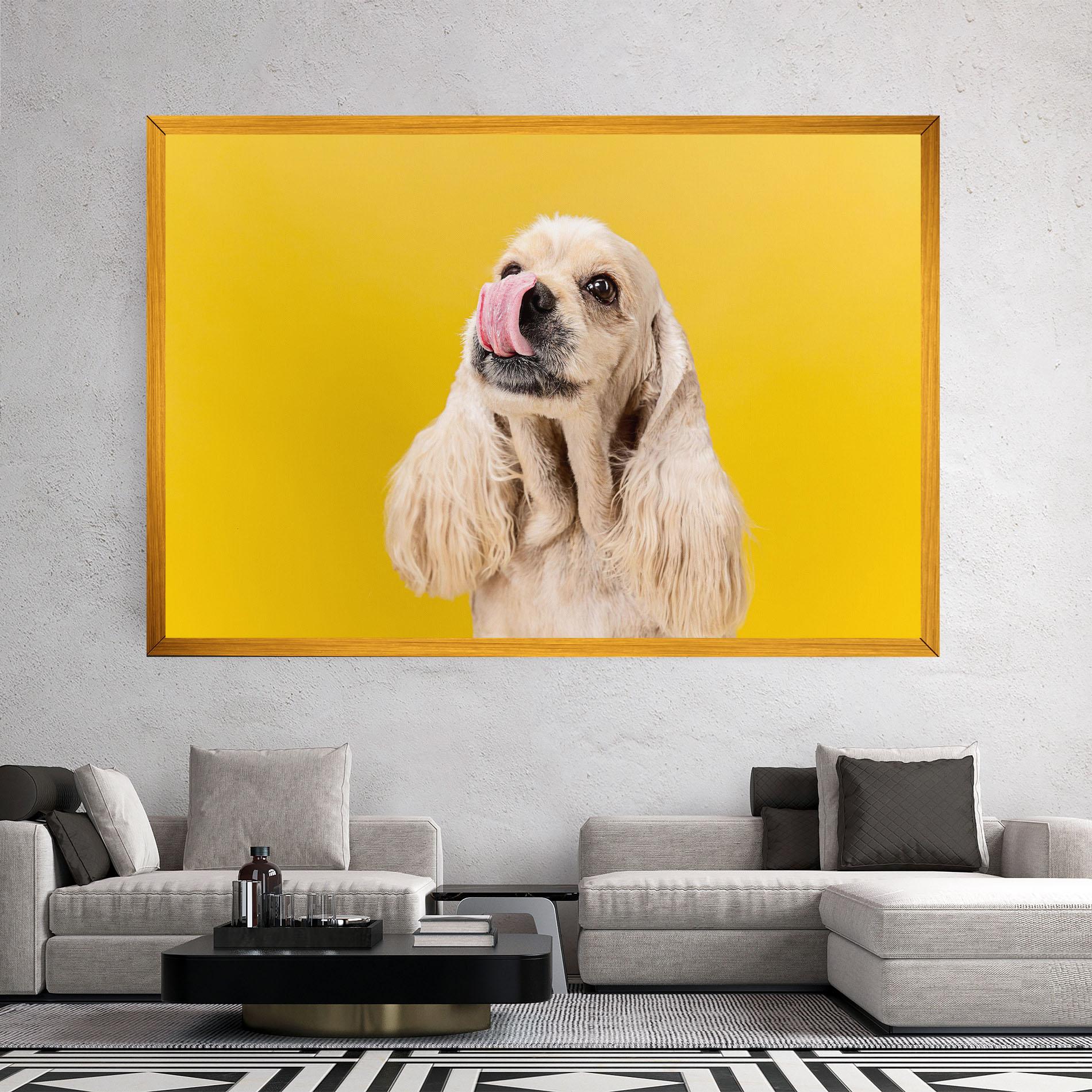 Vászonkép American Spaniel mockup 2
