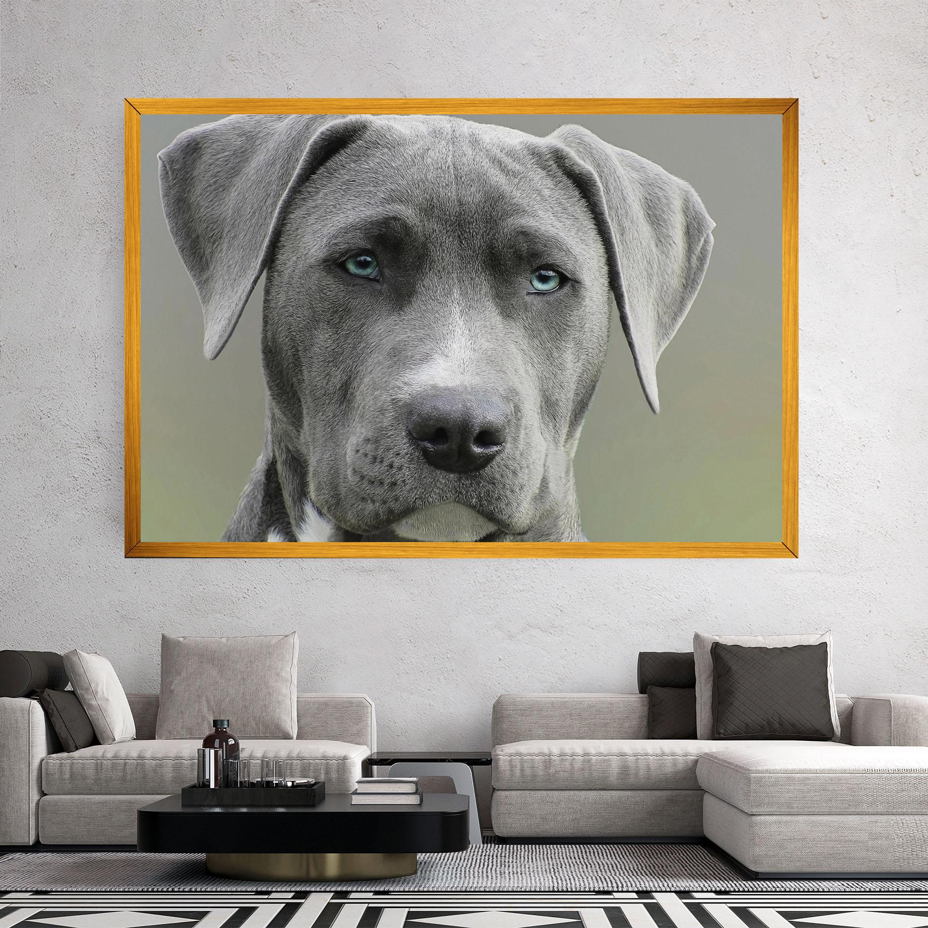 Vászonkép Blue Eyes Dog mockup 2