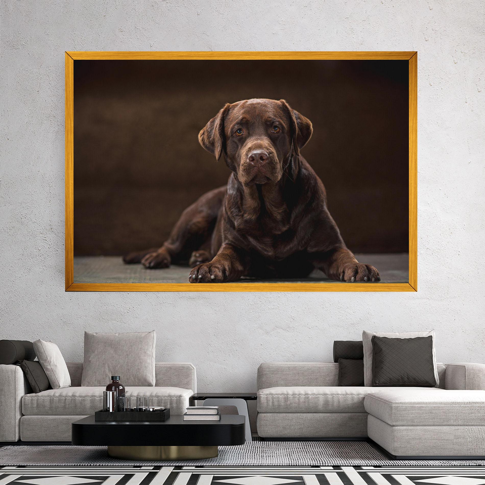 Vászonkép Cute Brown Labrador mockup 2