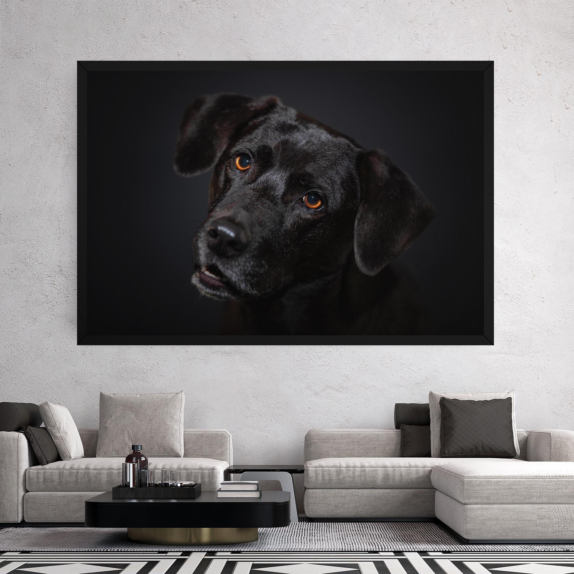 Vászonkép Black Dog Portrait mockup 2