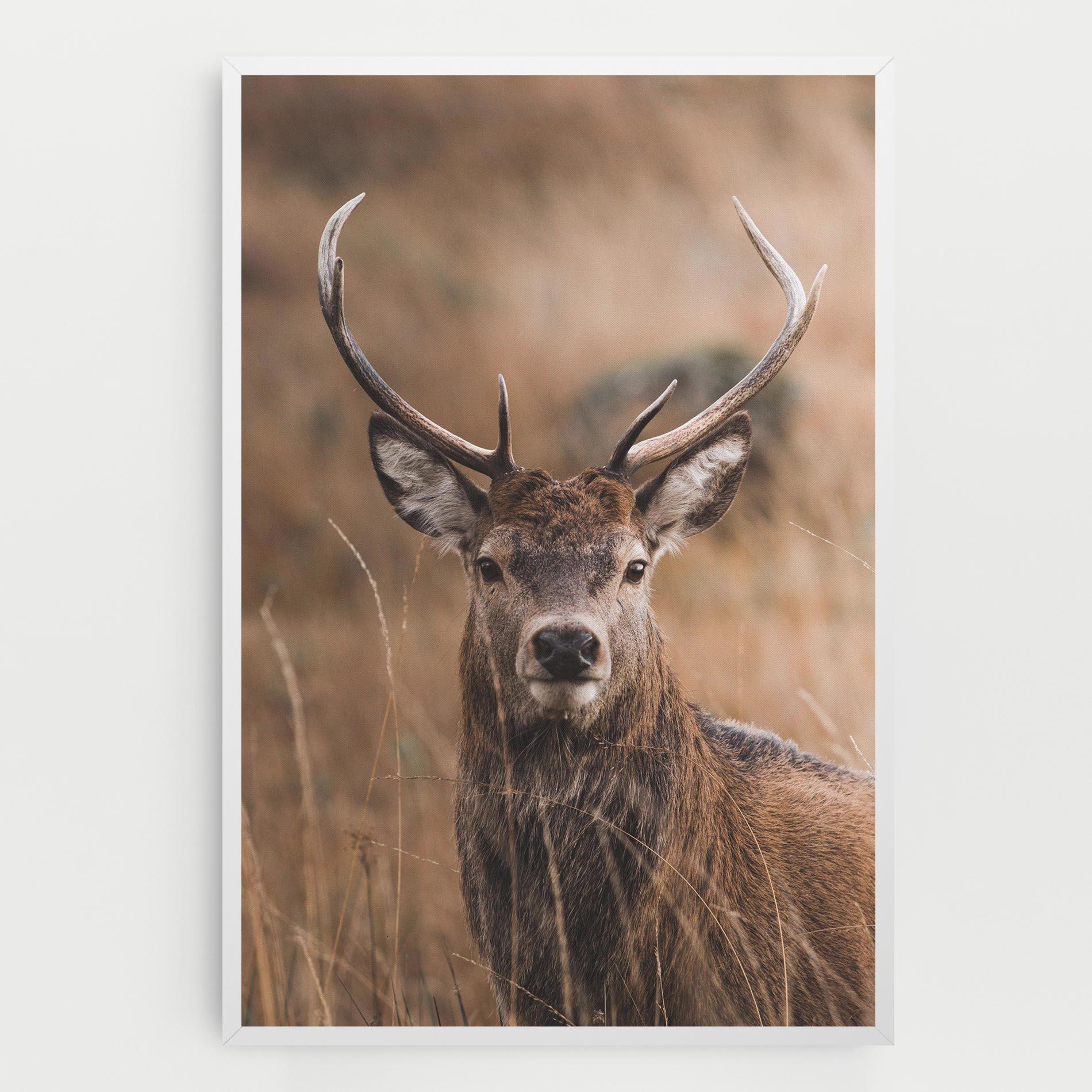 Vászonkép Majestic Deer mockup 0