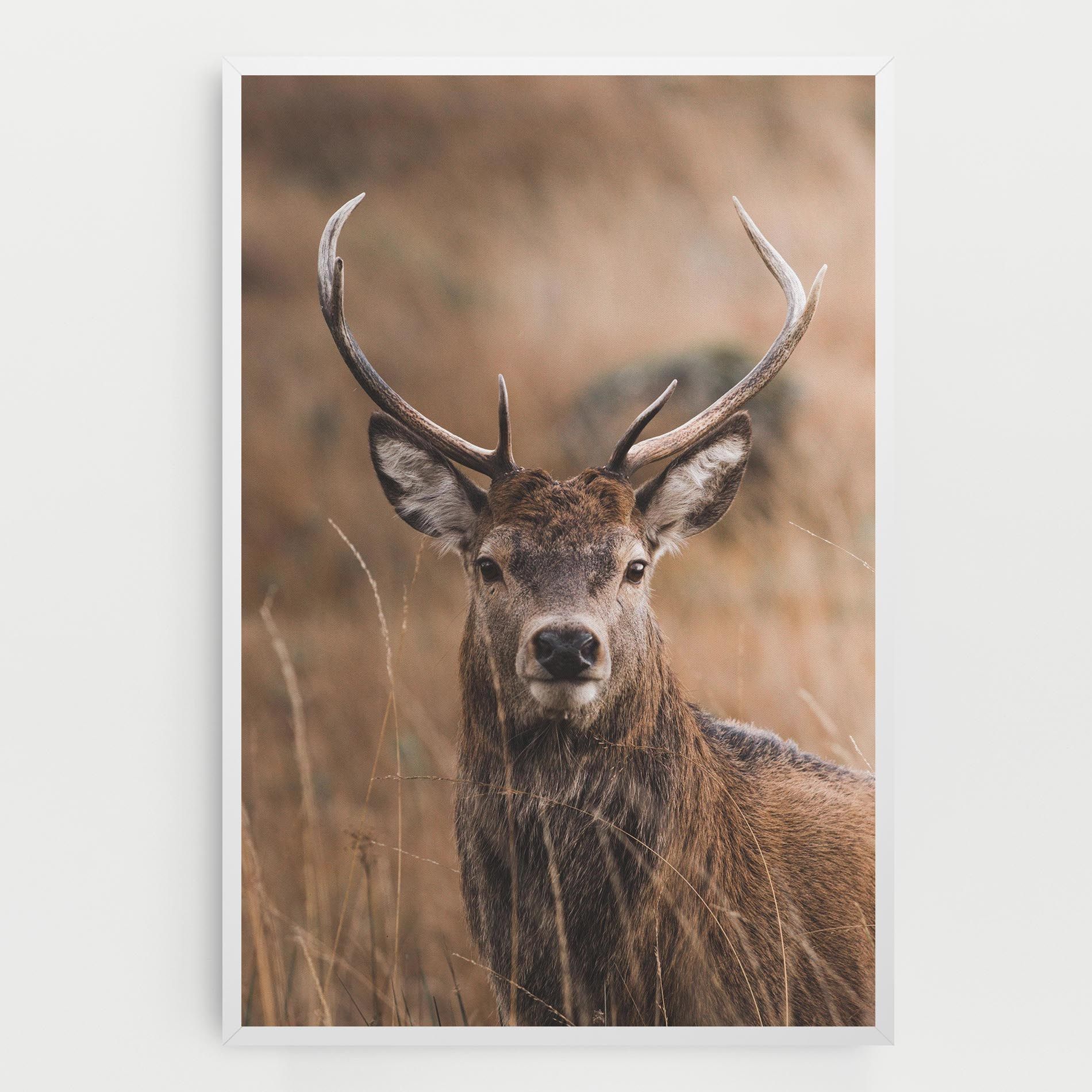 Majestic Deer mockup 0