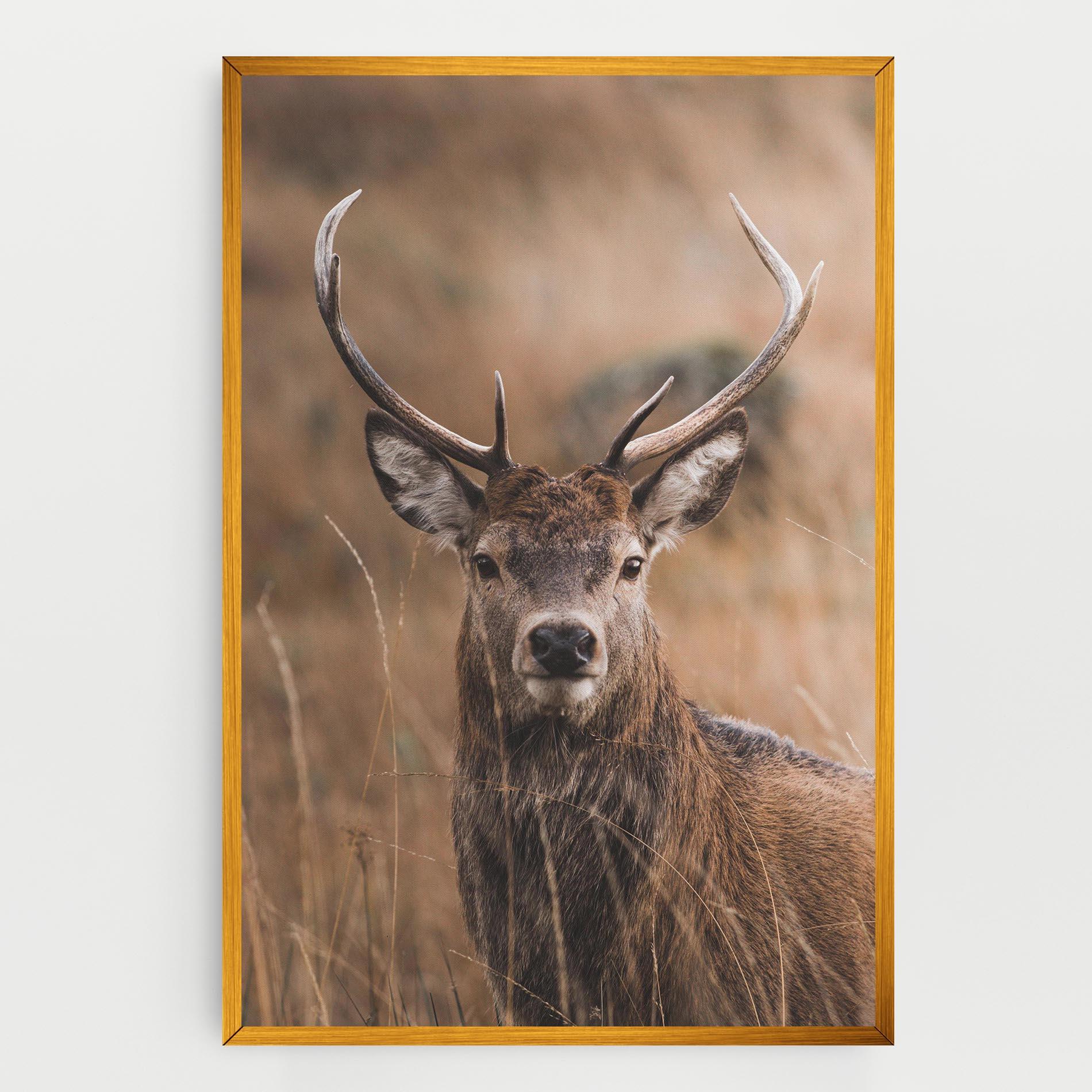 Vászonkép Majestic Deer mockup 0