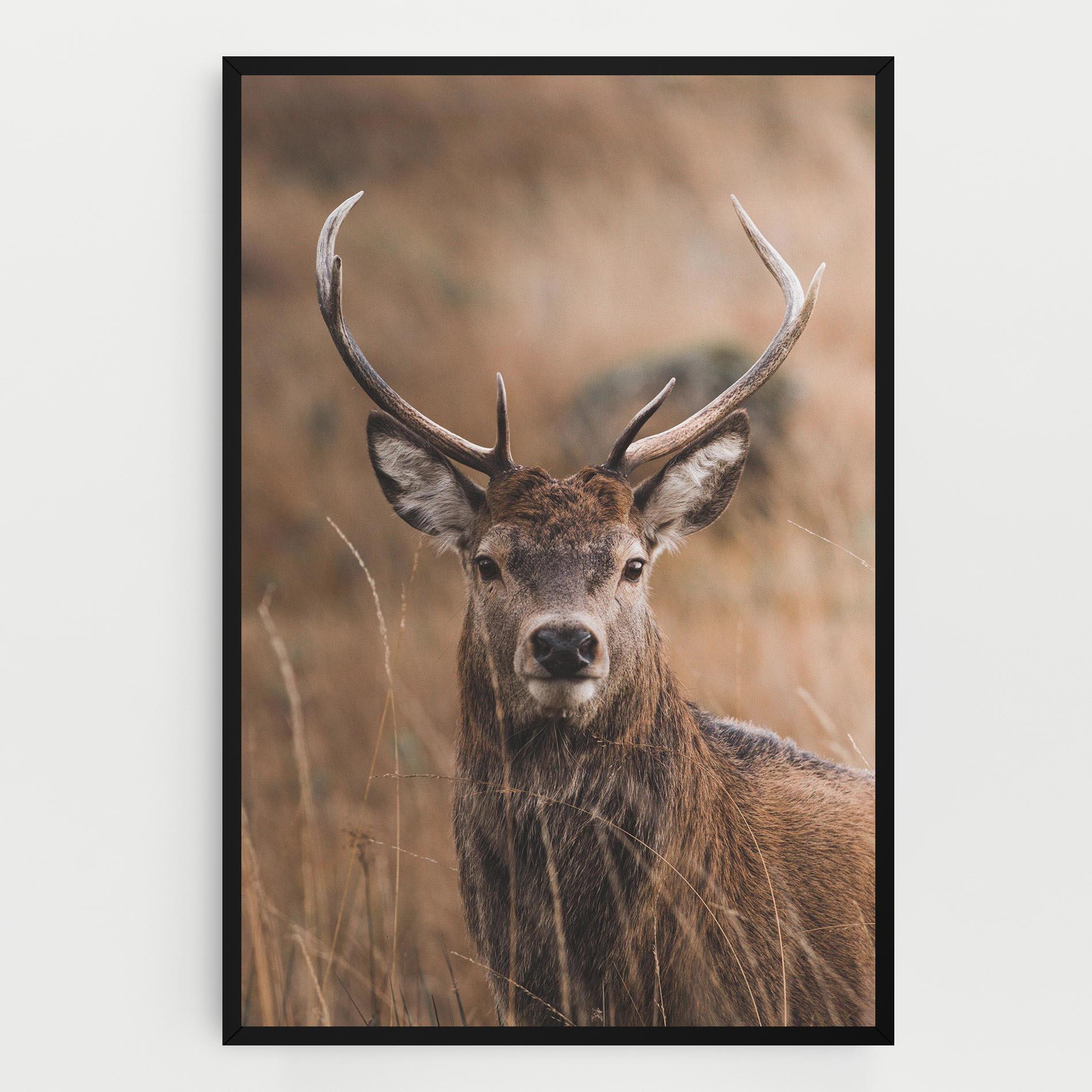 Vászonkép Majestic Deer mockup 0
