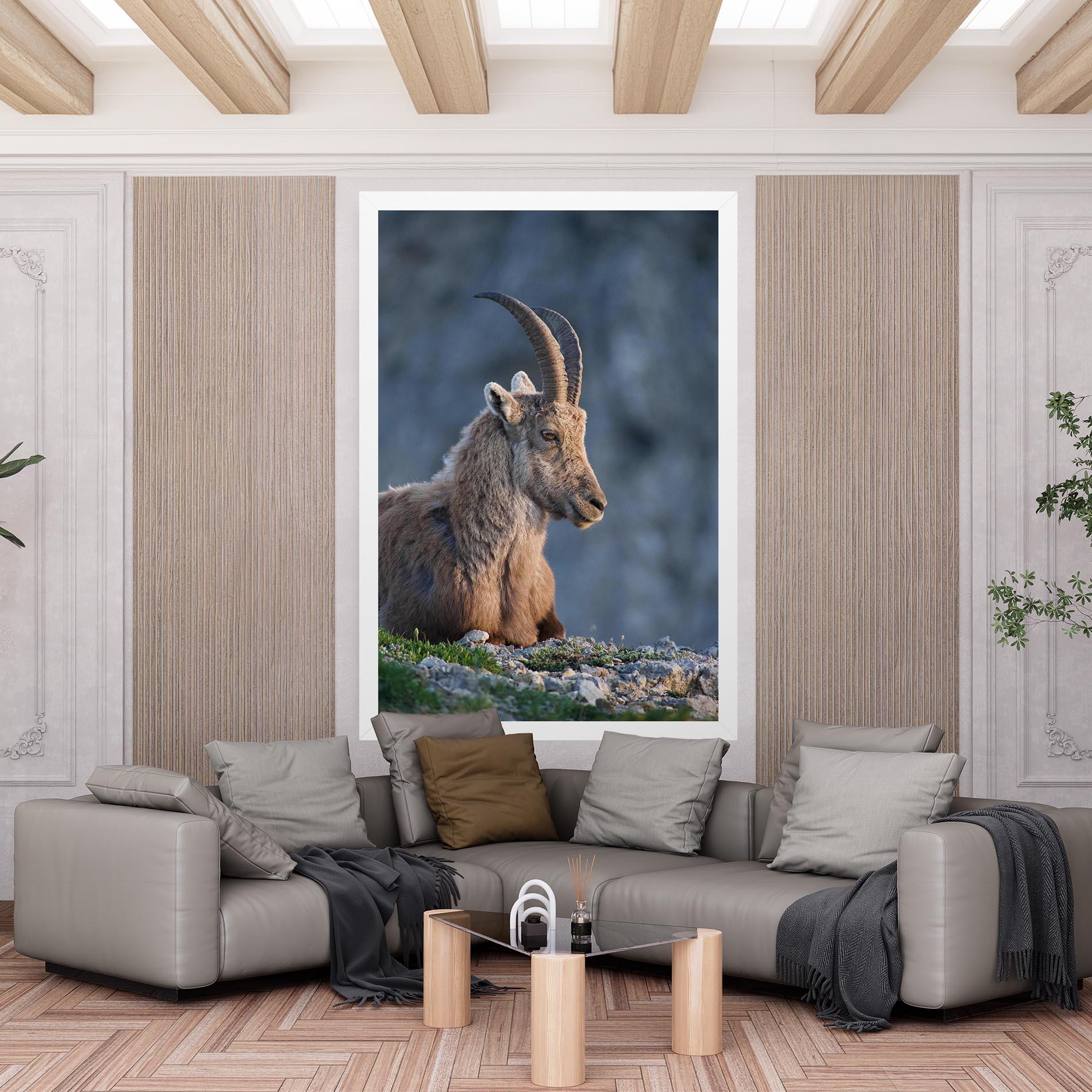 Vászonkép Mountain Goat mockup 6