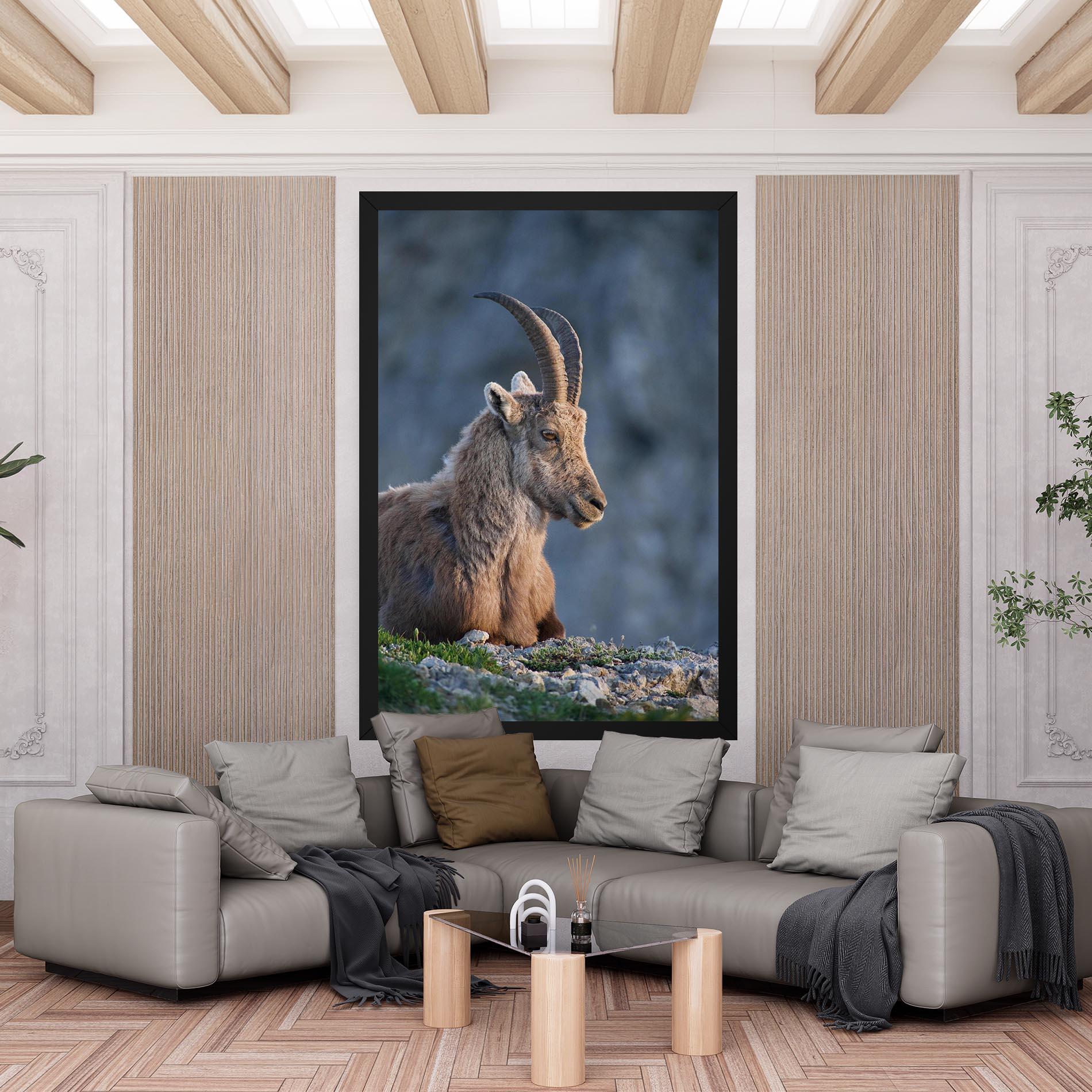 Vászonkép Mountain Goat mockup 6