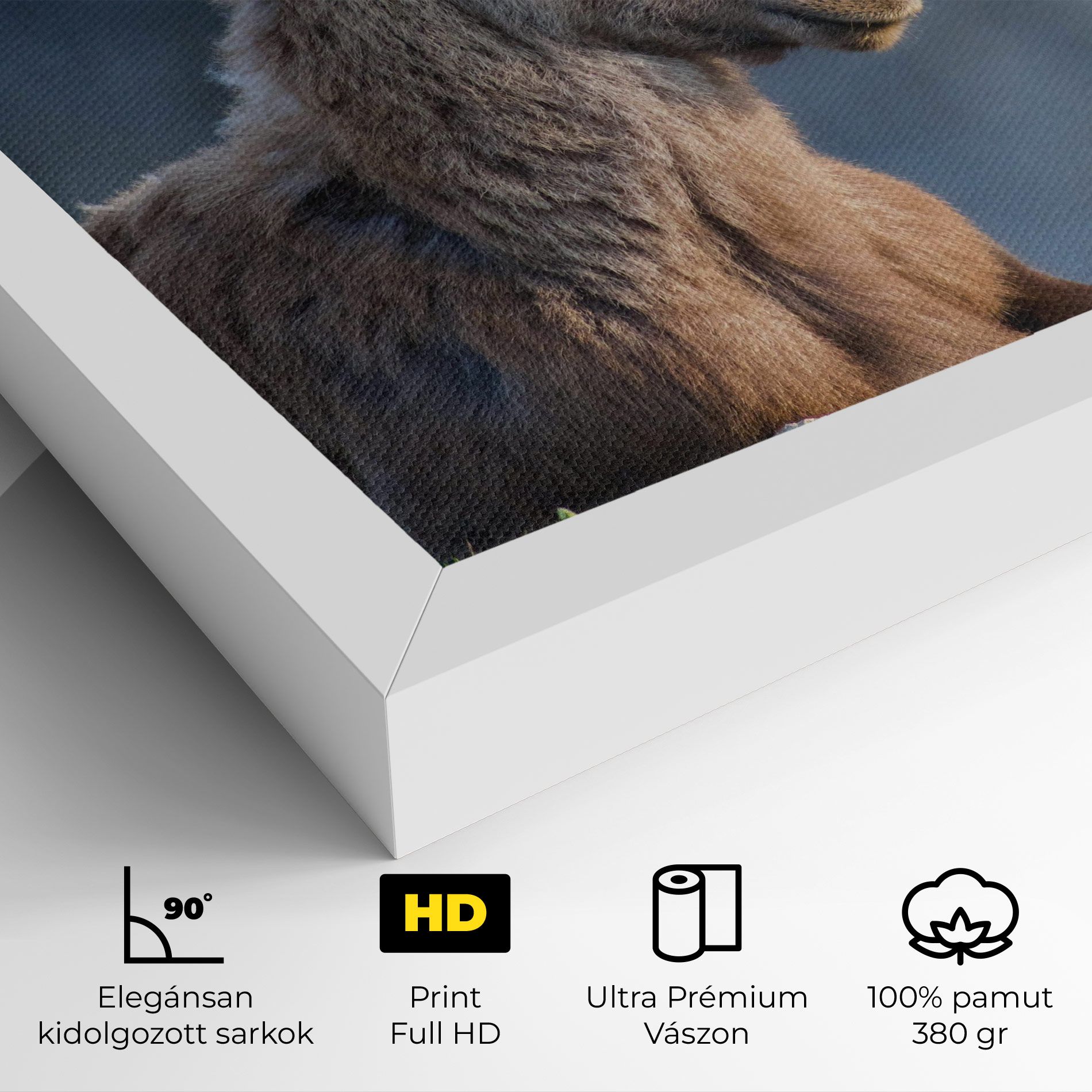 Mountain Goat mockup 4