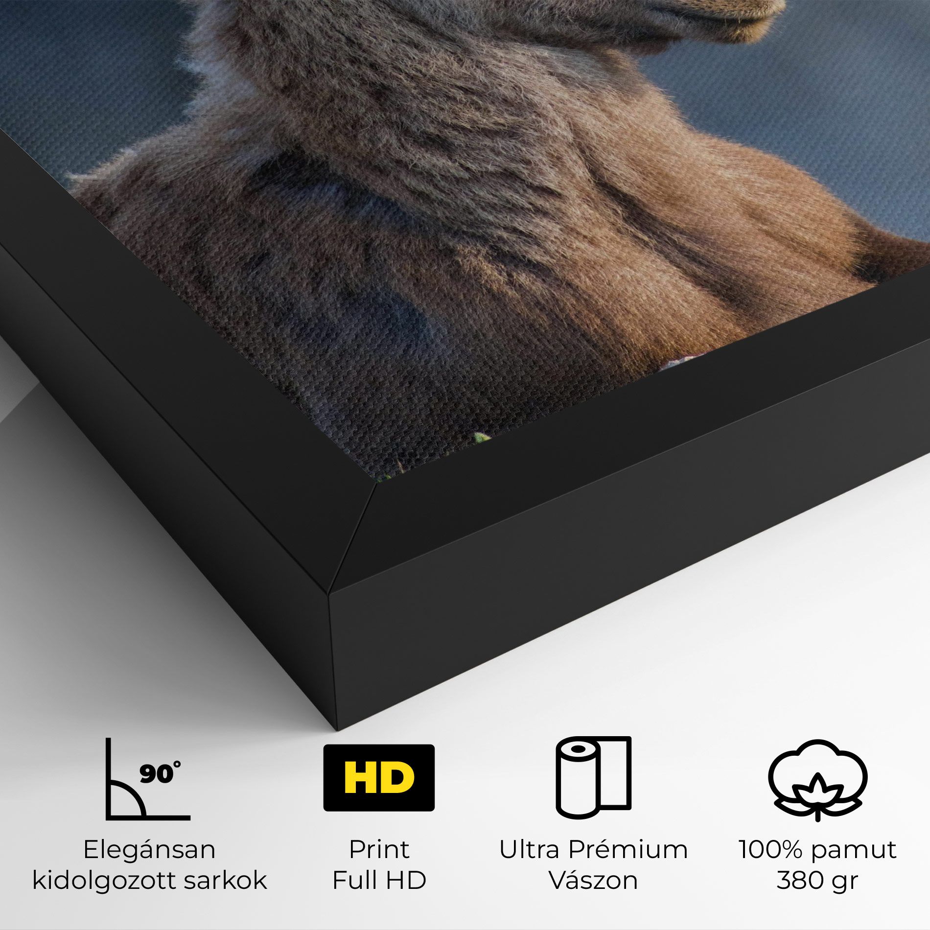 Mountain Goat mockup 4
