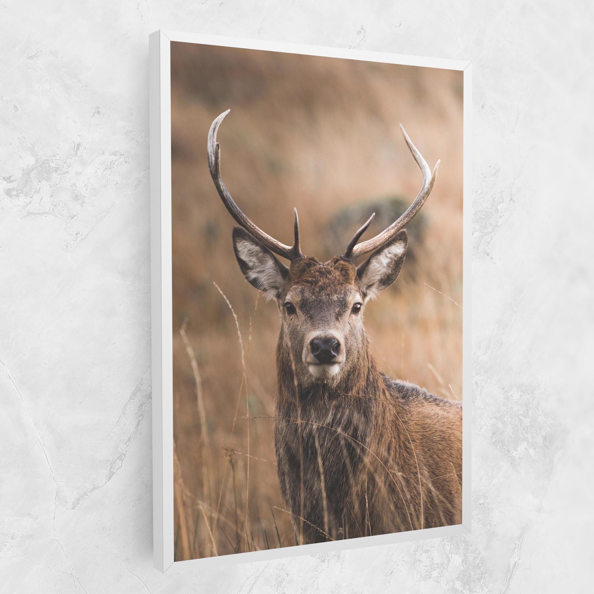 Vászonkép Majestic Deer mockup 1