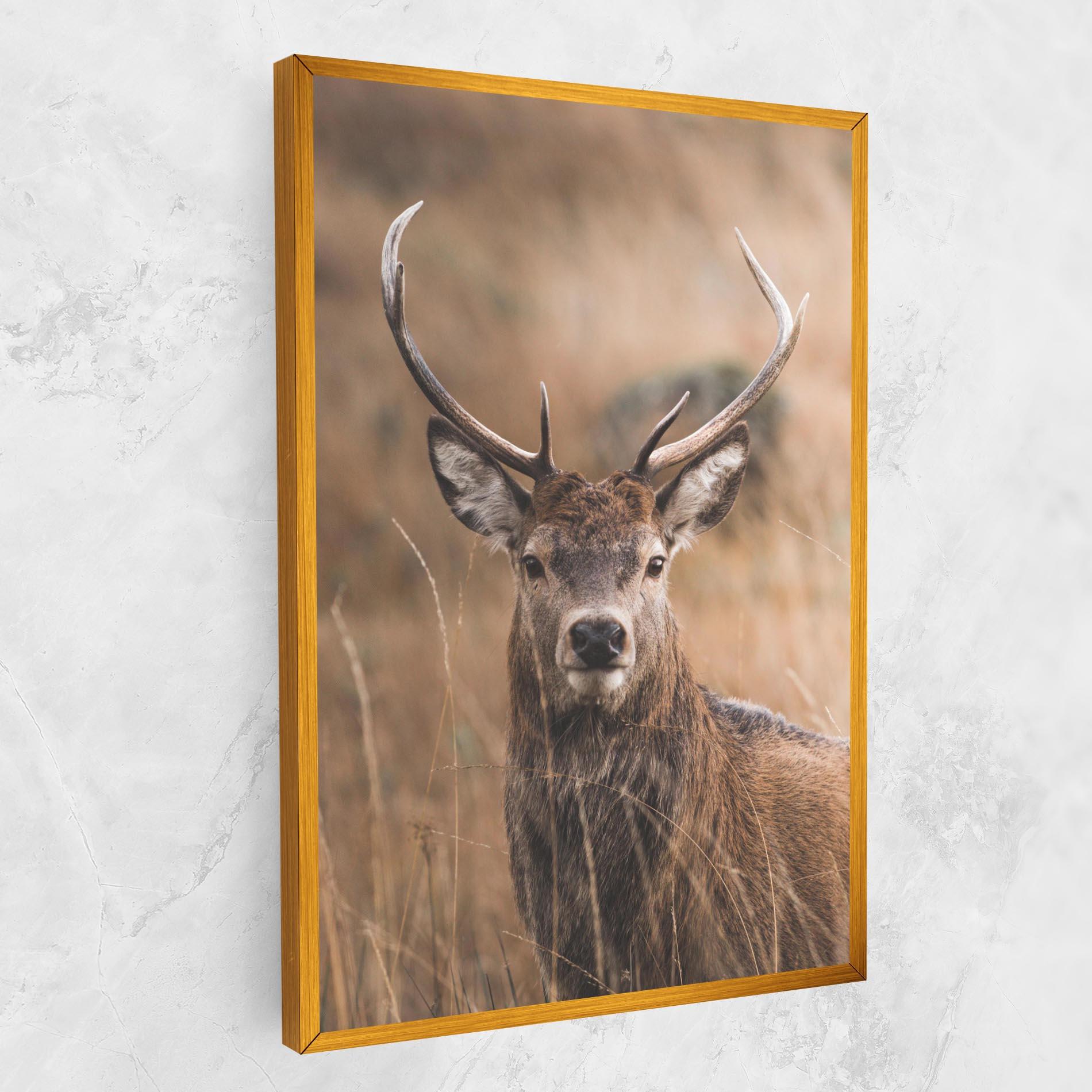 Vászonkép Majestic Deer mockup 1